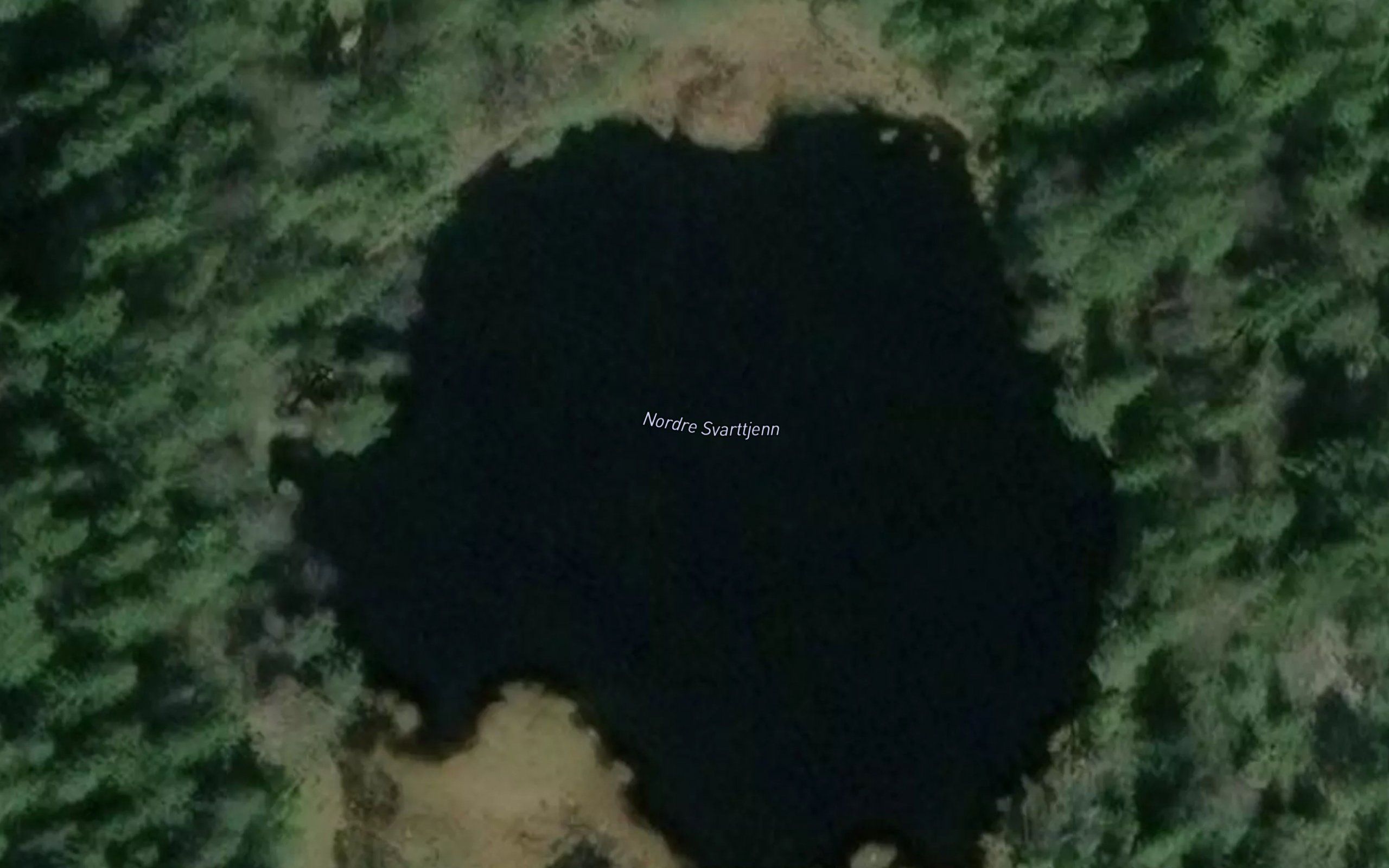 Svartputta