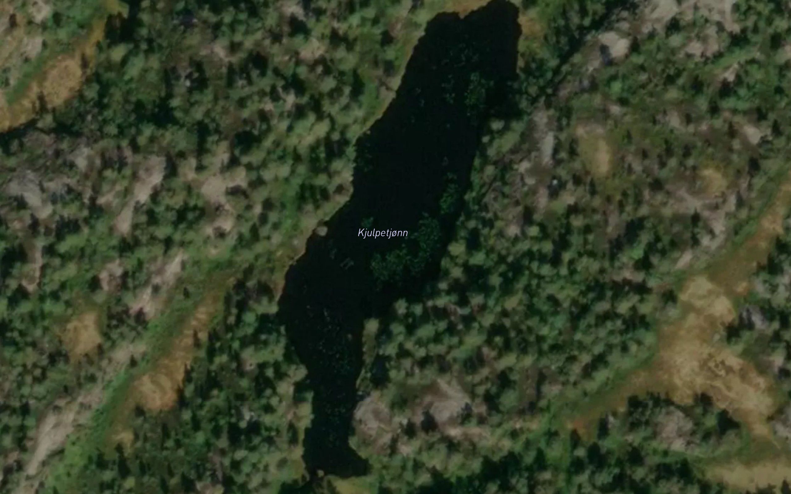 Kjulpetjonn