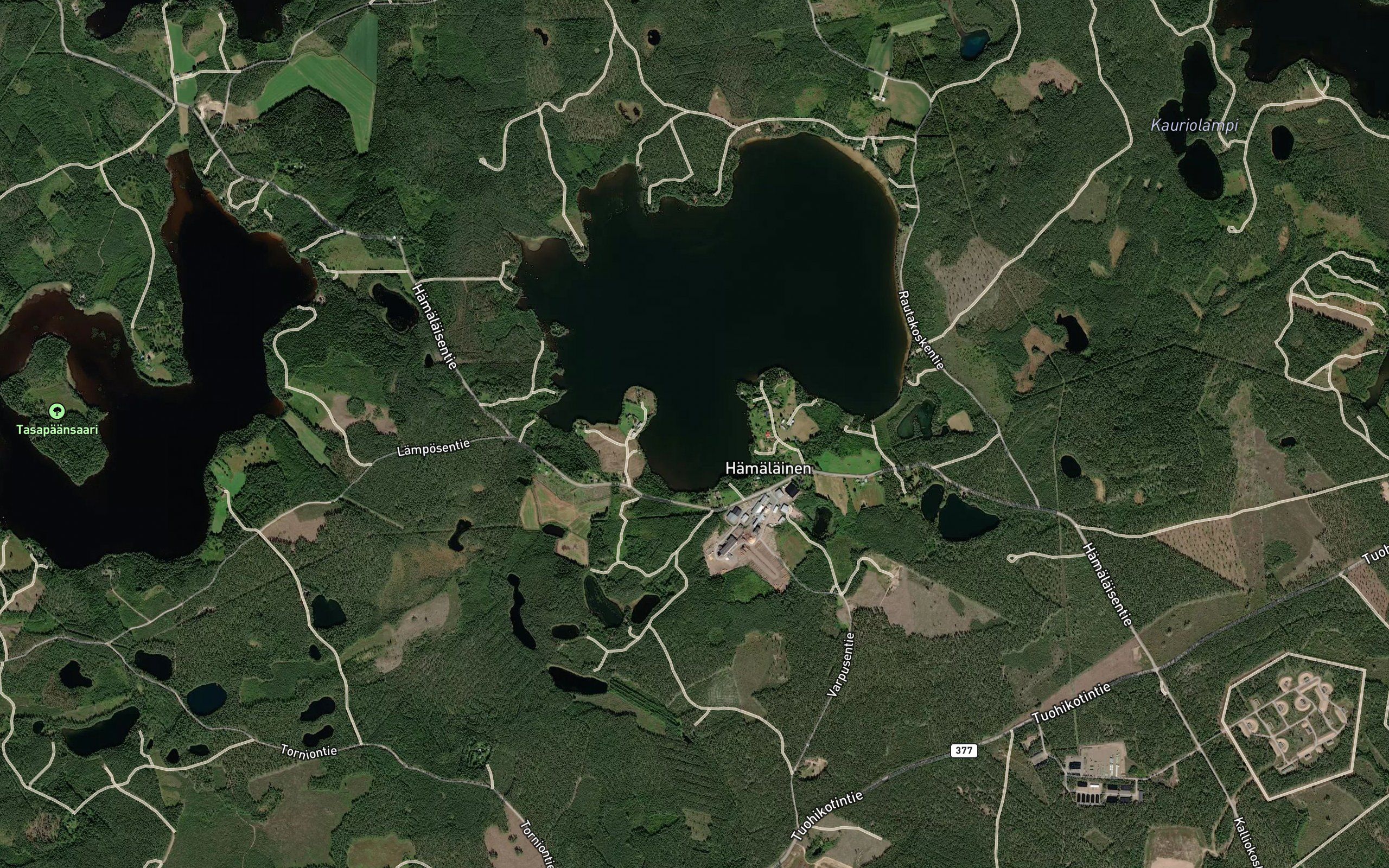 Varpuslahti