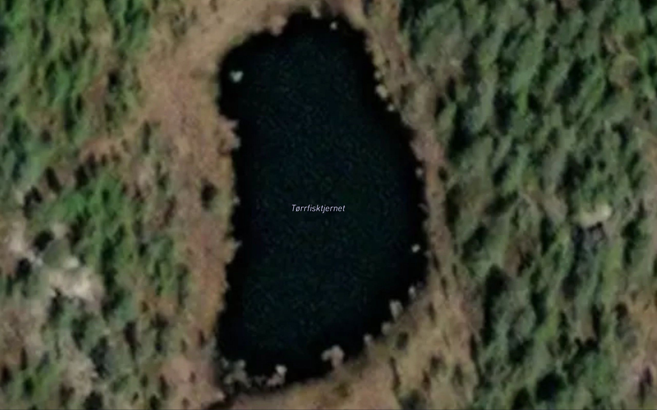 Torrfisktjernet