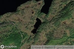 Vikatjorna