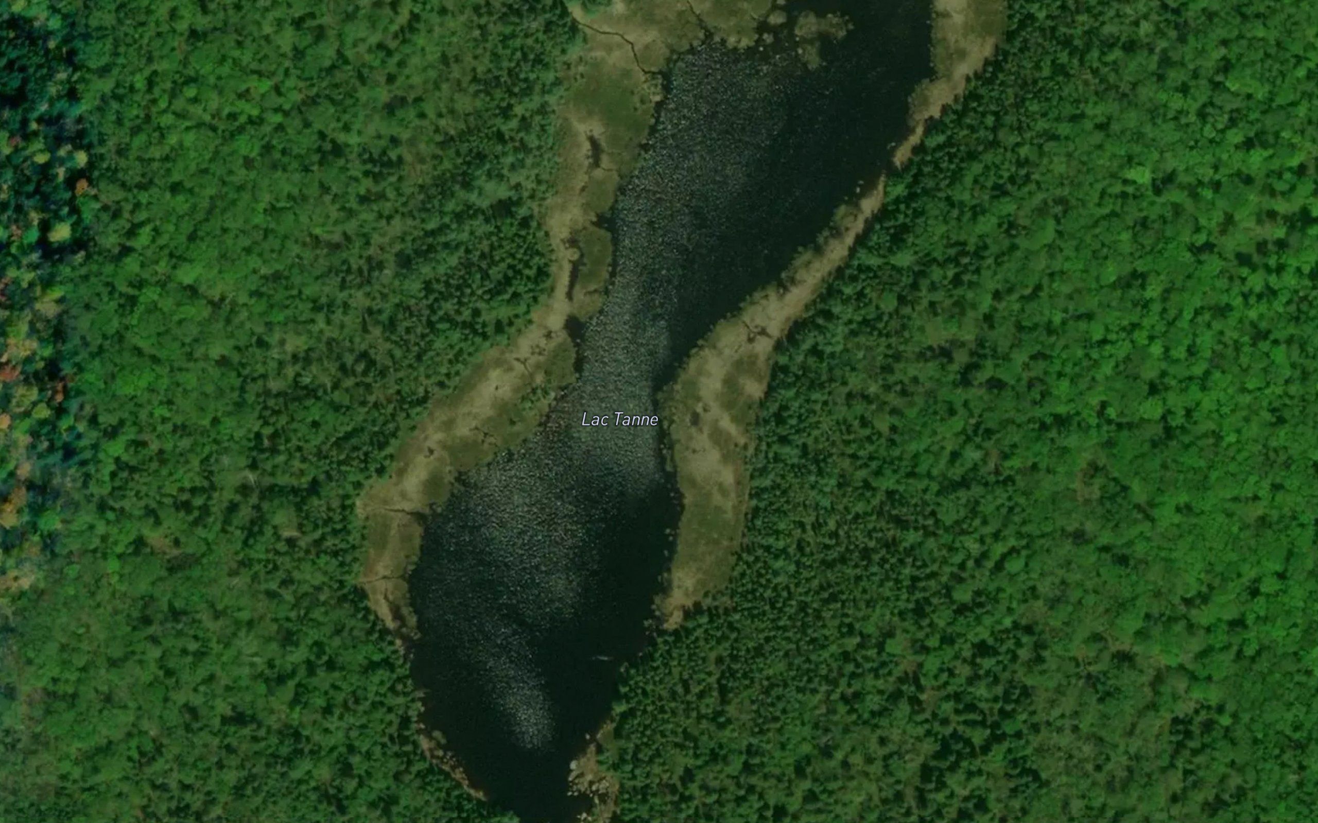 Lac Tanne