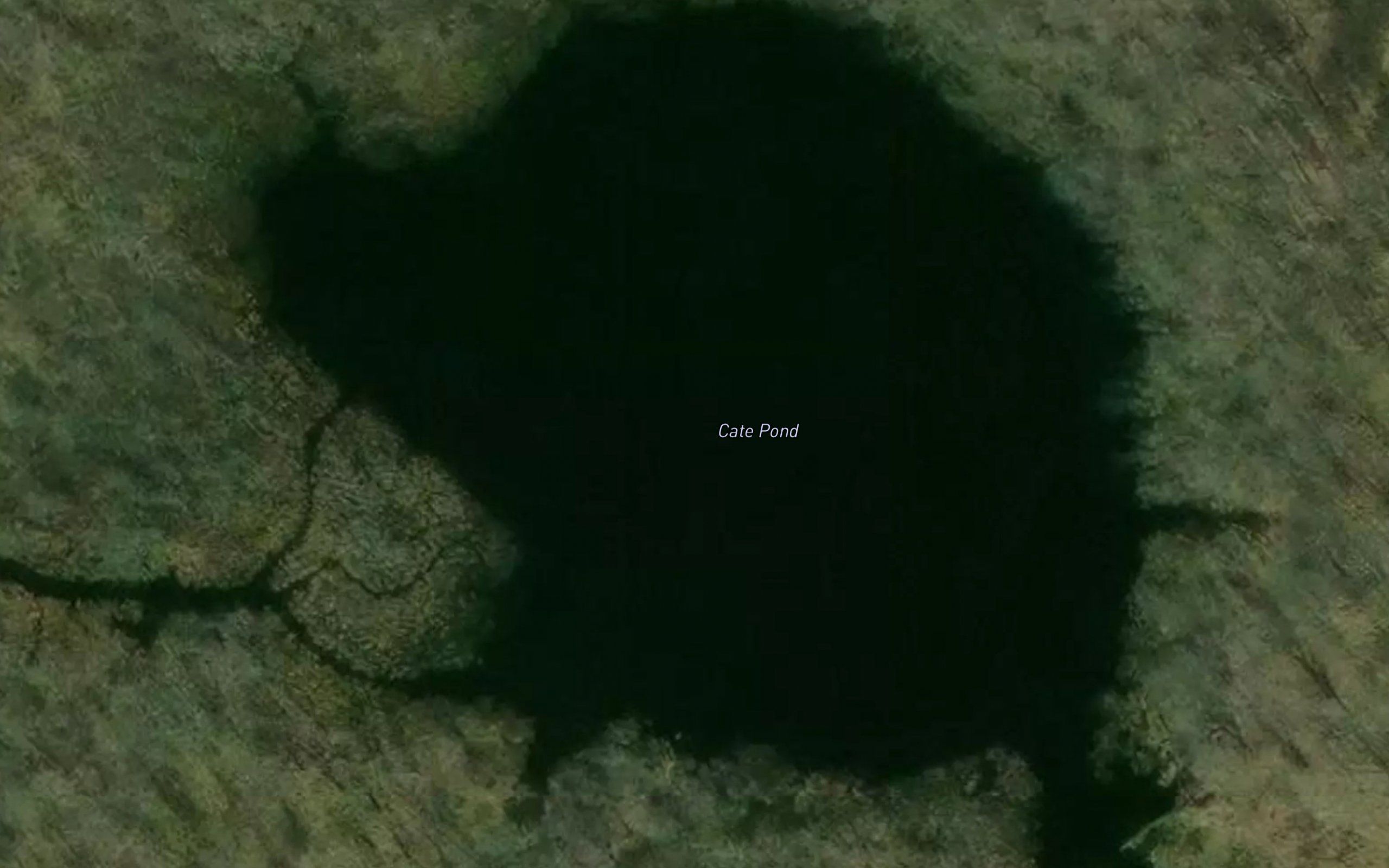 Cate Pond