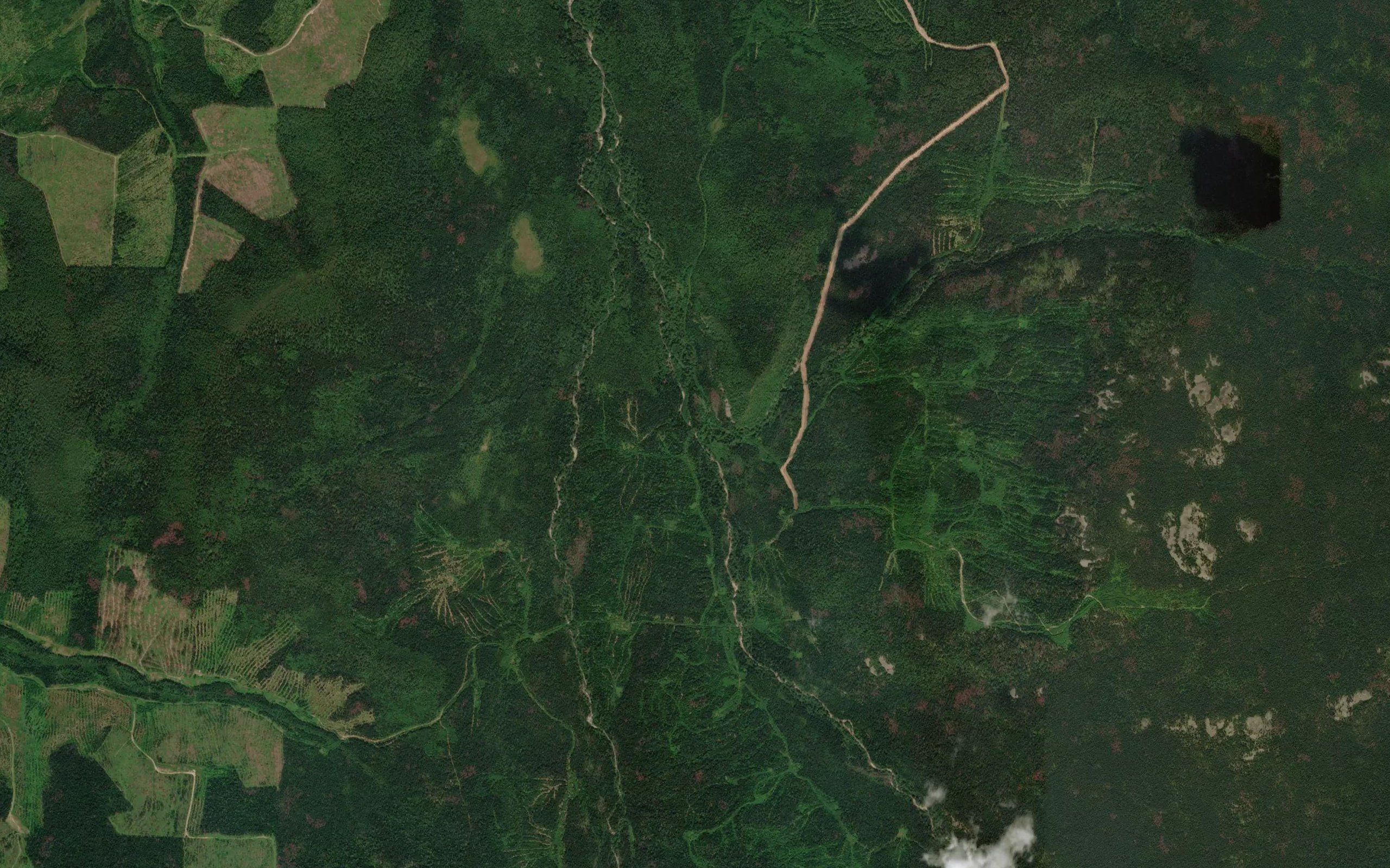 Snezhnyy