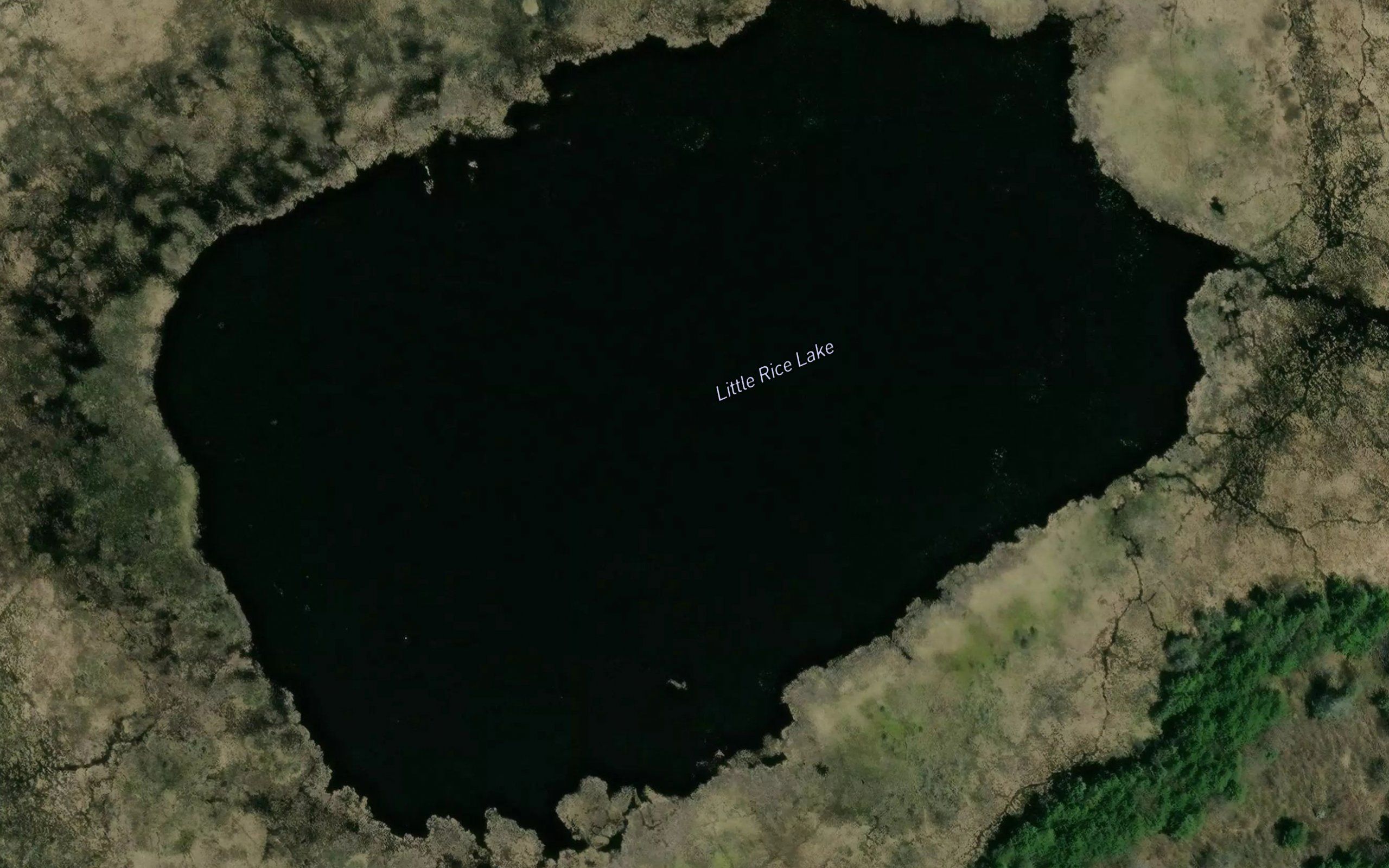 Little Rice Lake
