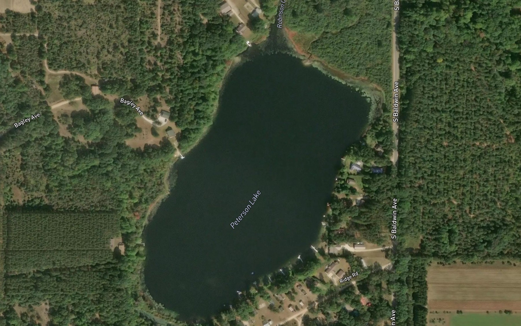 Satellite map of the Peterson Lake