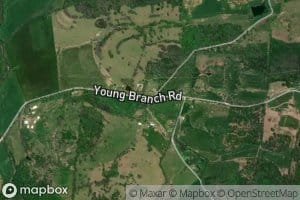 South Fork Young Branch