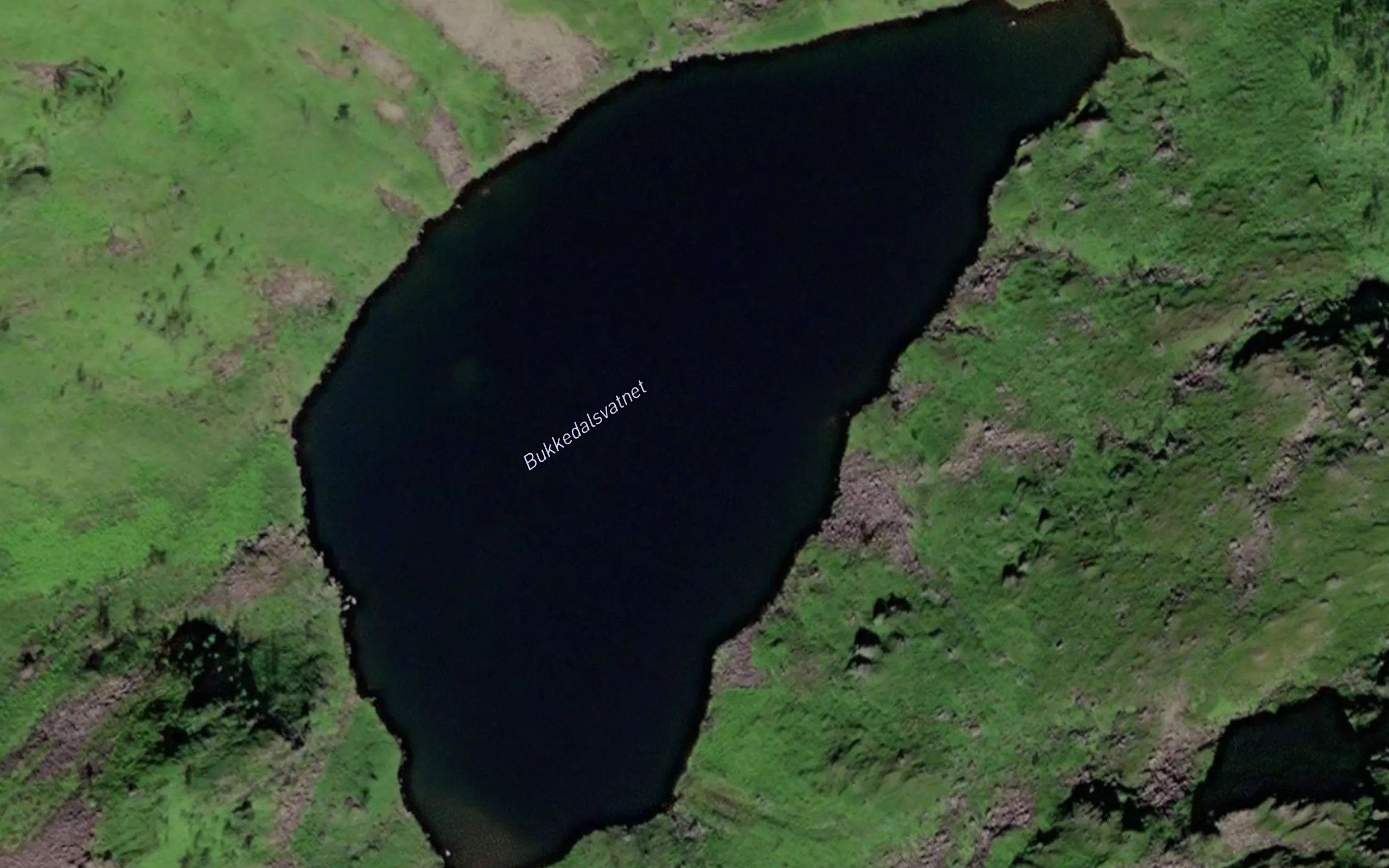 Bukkedalsvatnet