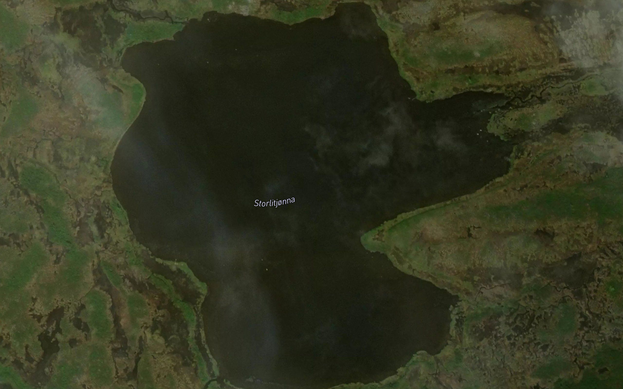 Storlitjorna