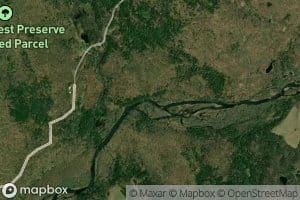 Mud Brook