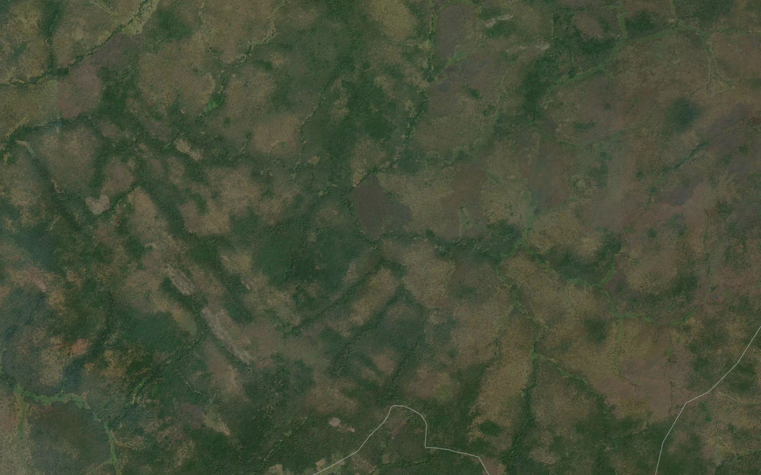 Gbodamo
