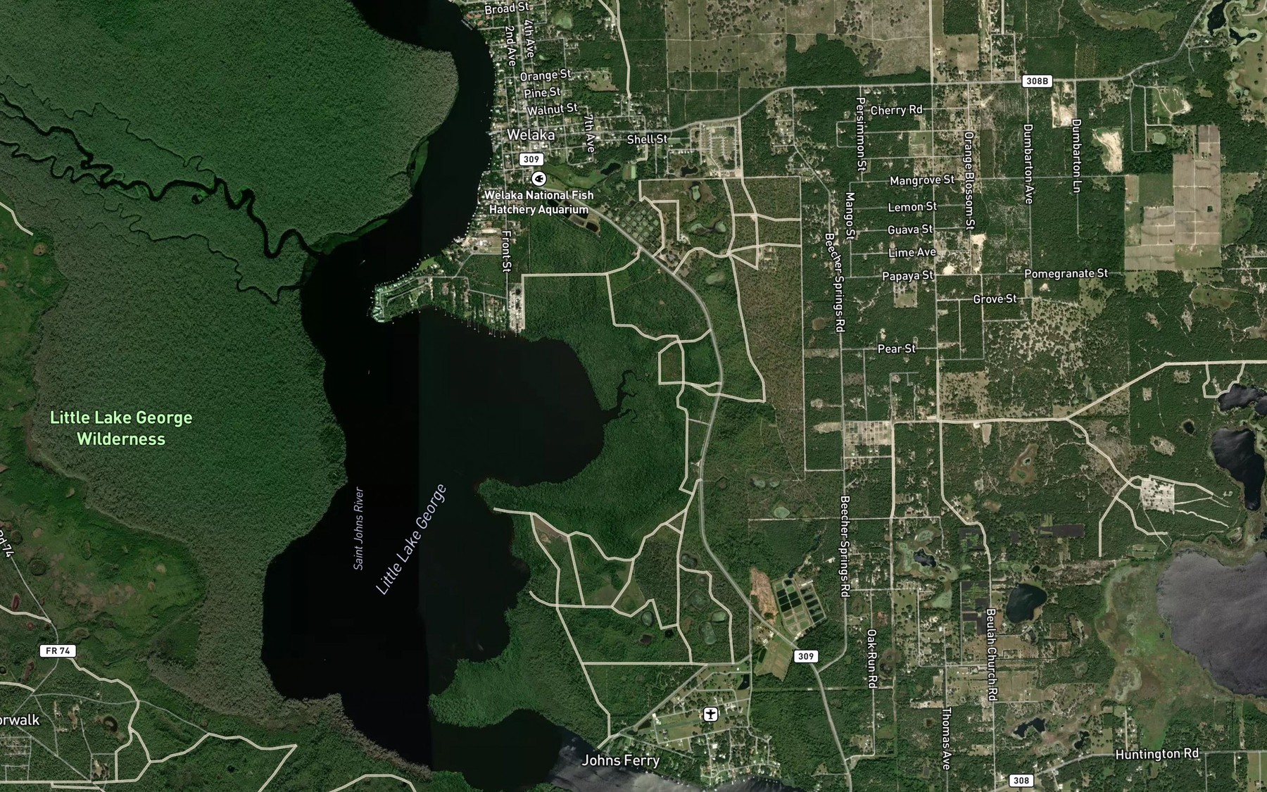 Satellite map of the Mud Spring