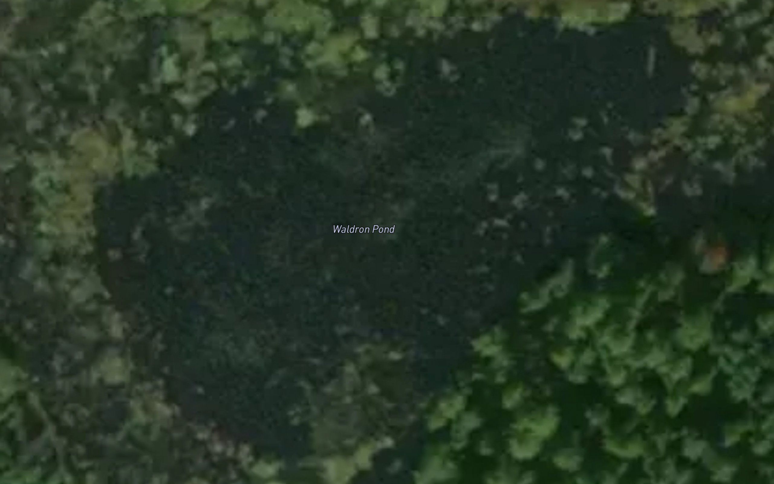 Waldron Pond