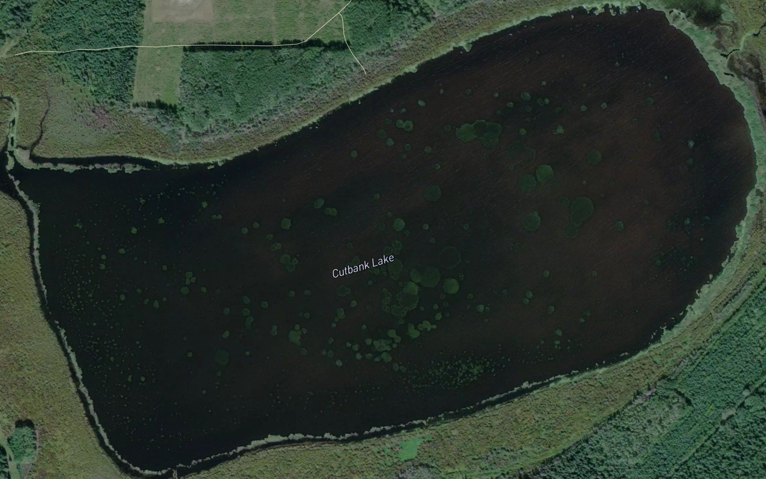 Cutbank Lake