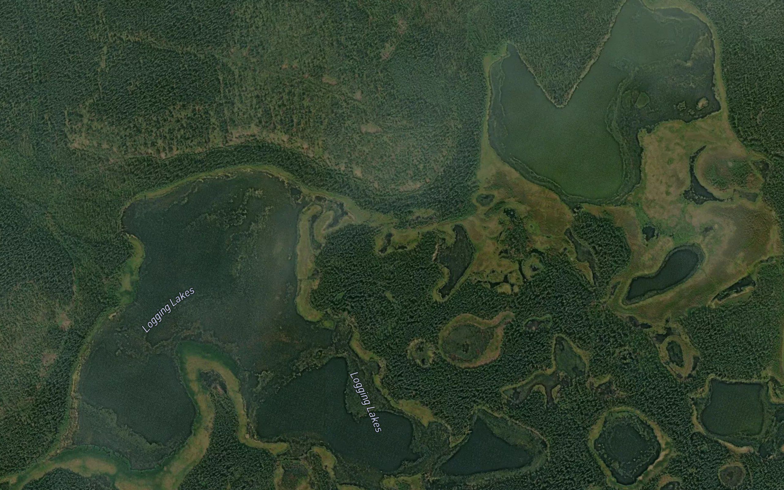 Logging Lake