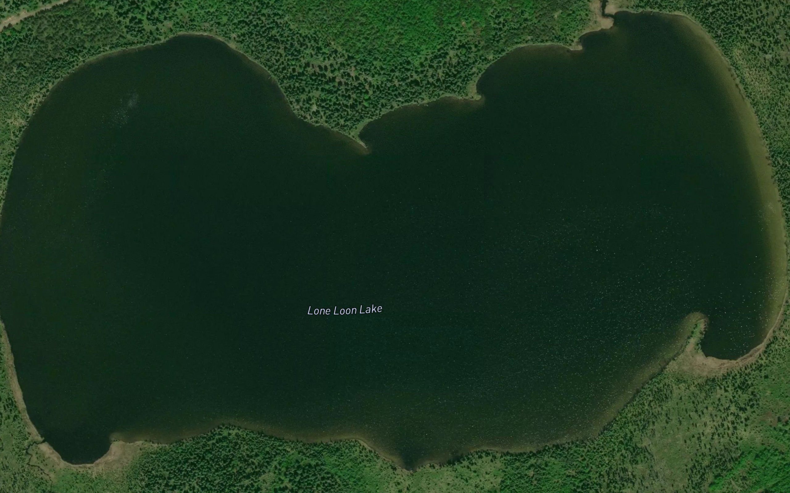 Lone Loon Lake