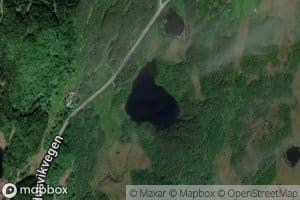 Movatnet