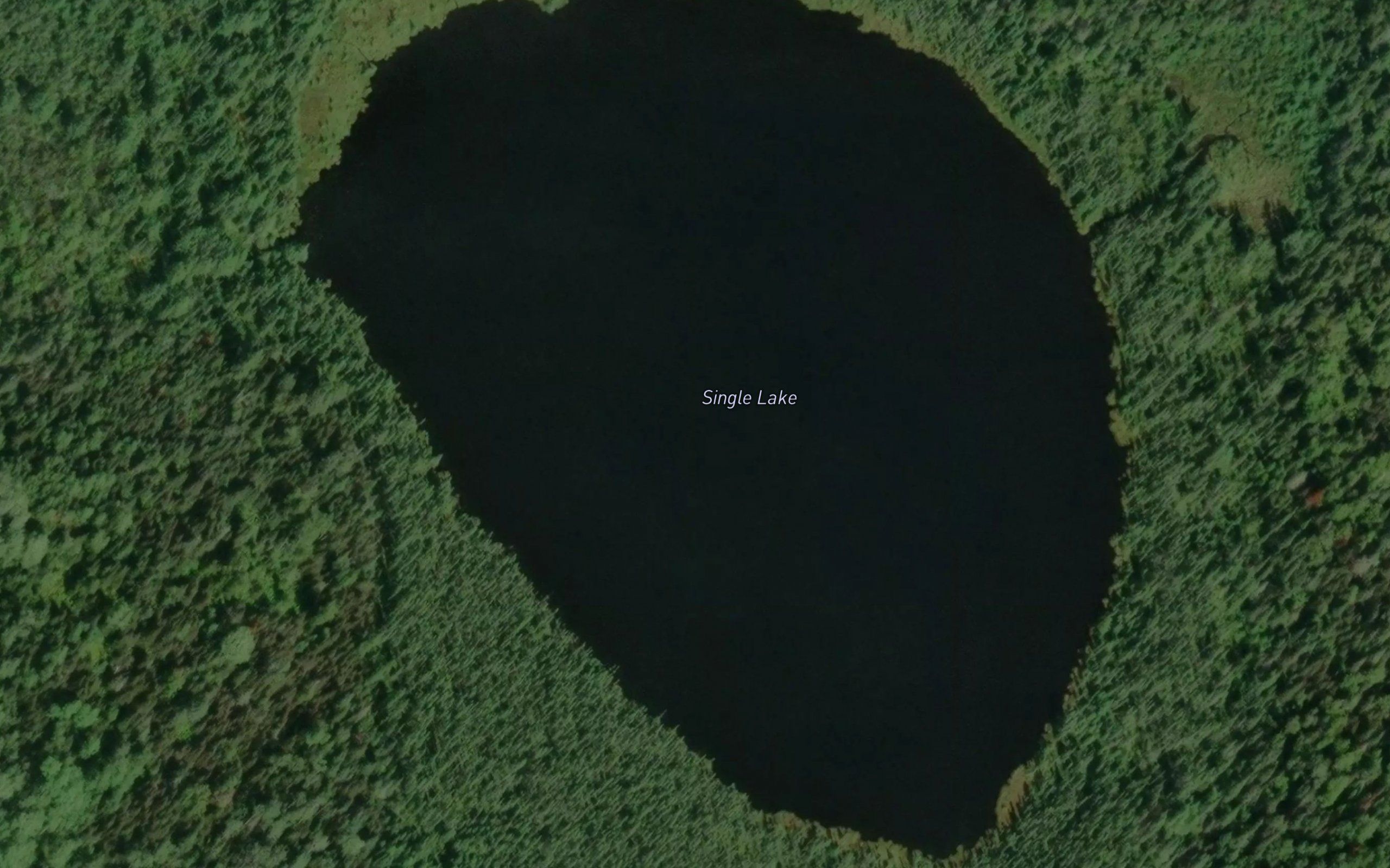 Single Lake