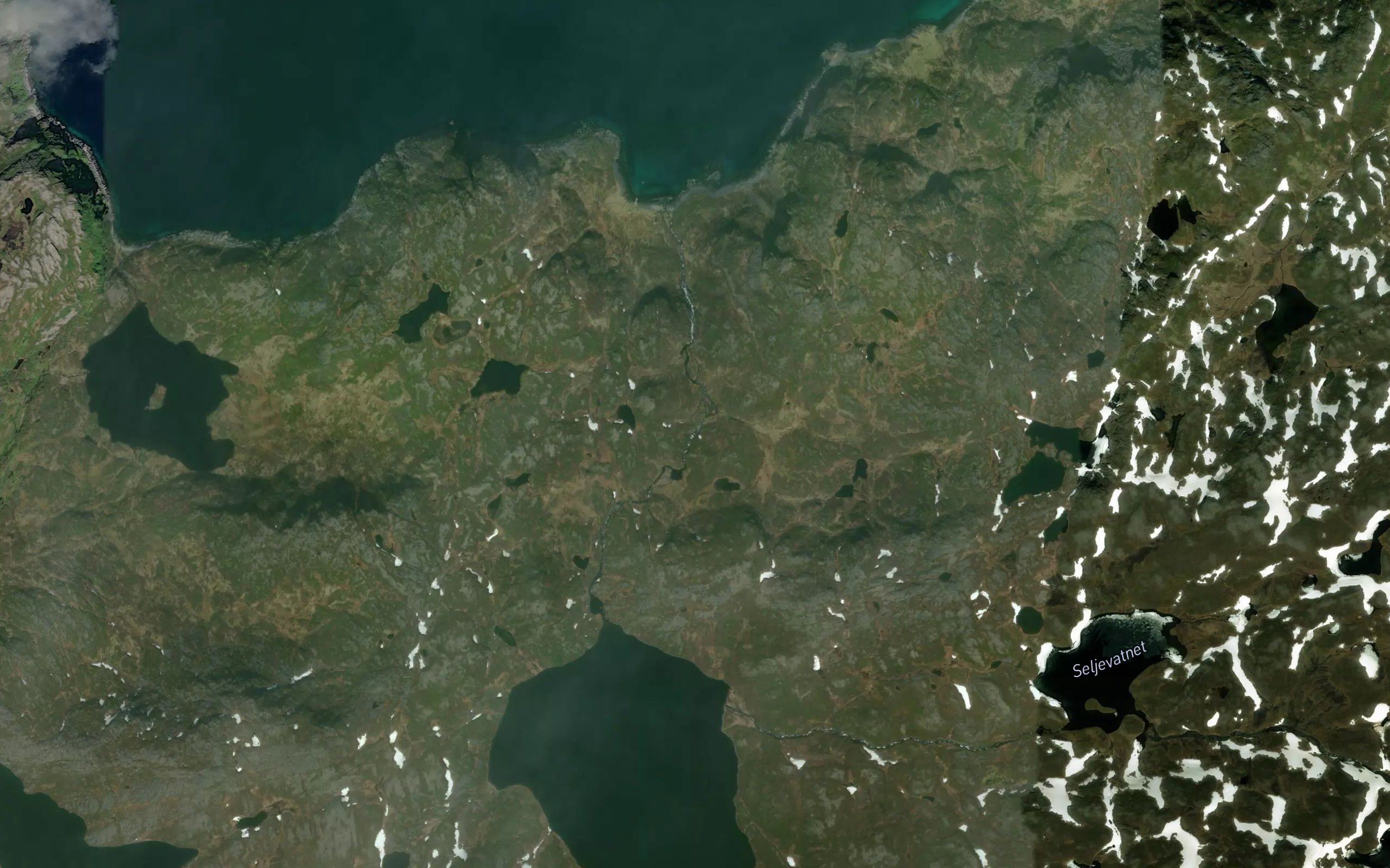 Storbuktelva