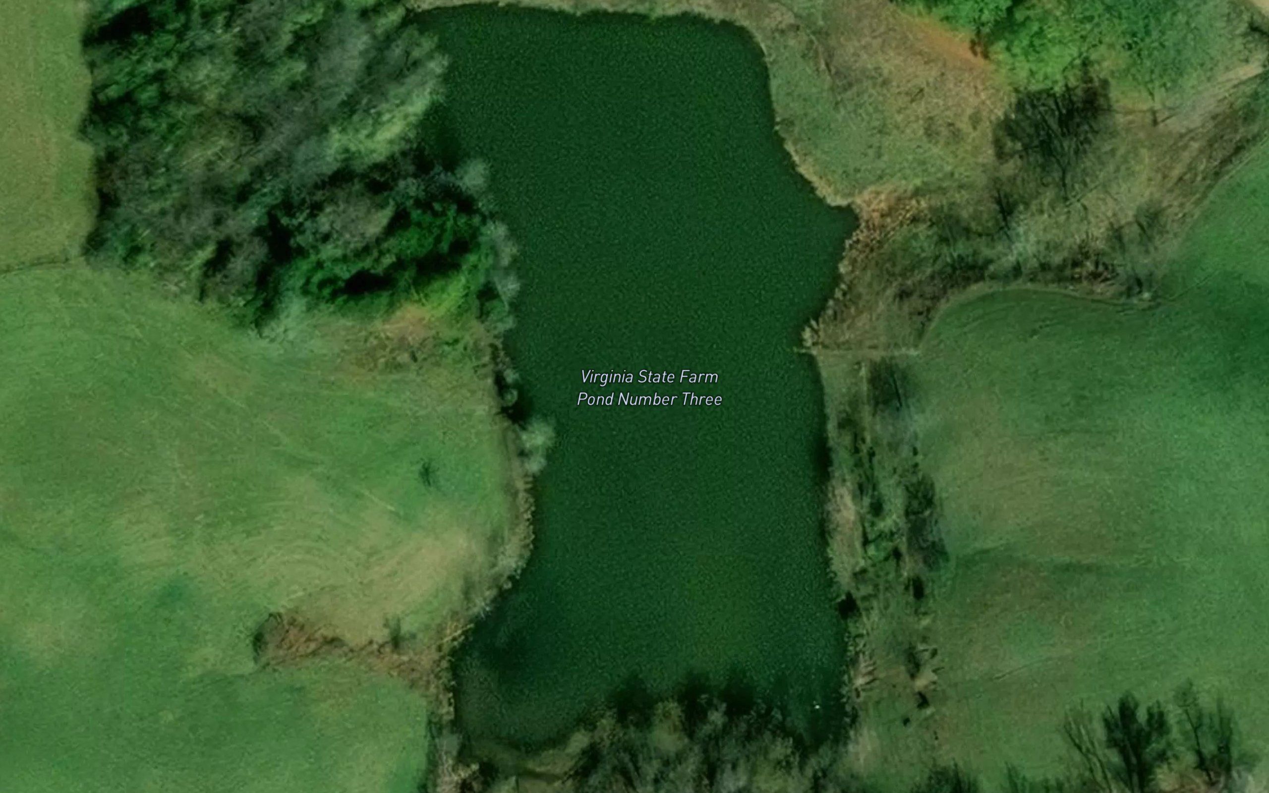 Virginia State Farm Pond Number Three