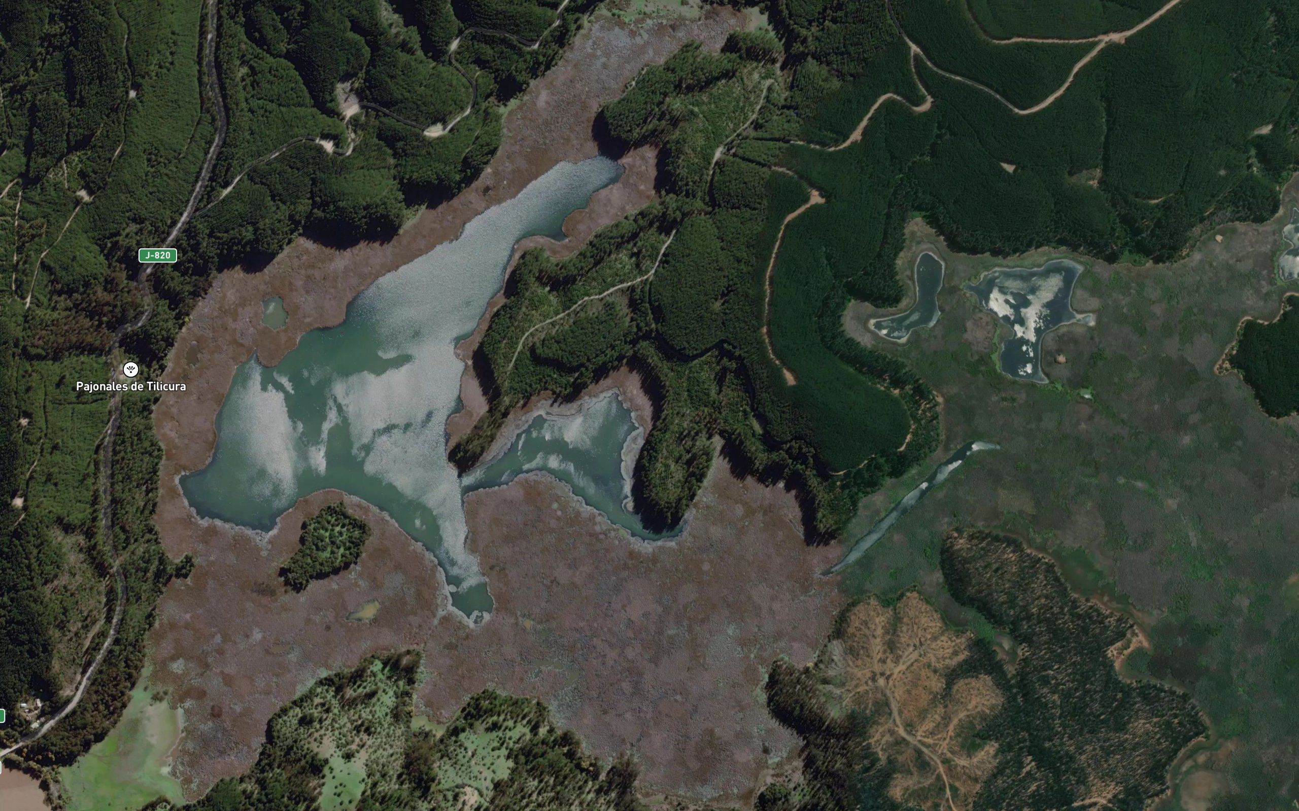 Laguna Tilicura