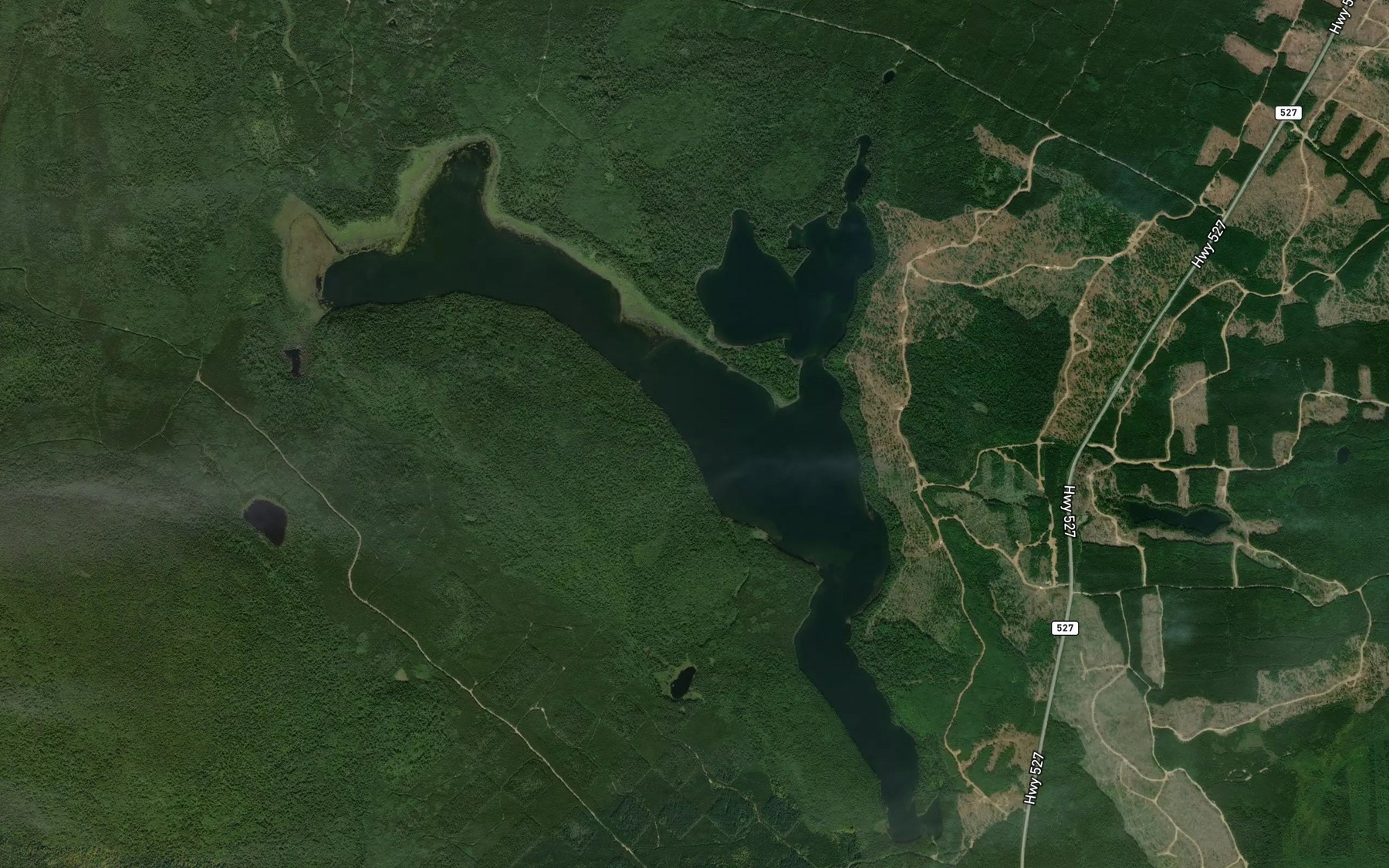Satellite map of the Greske Lake