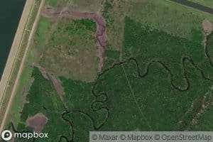 Alligator Creek