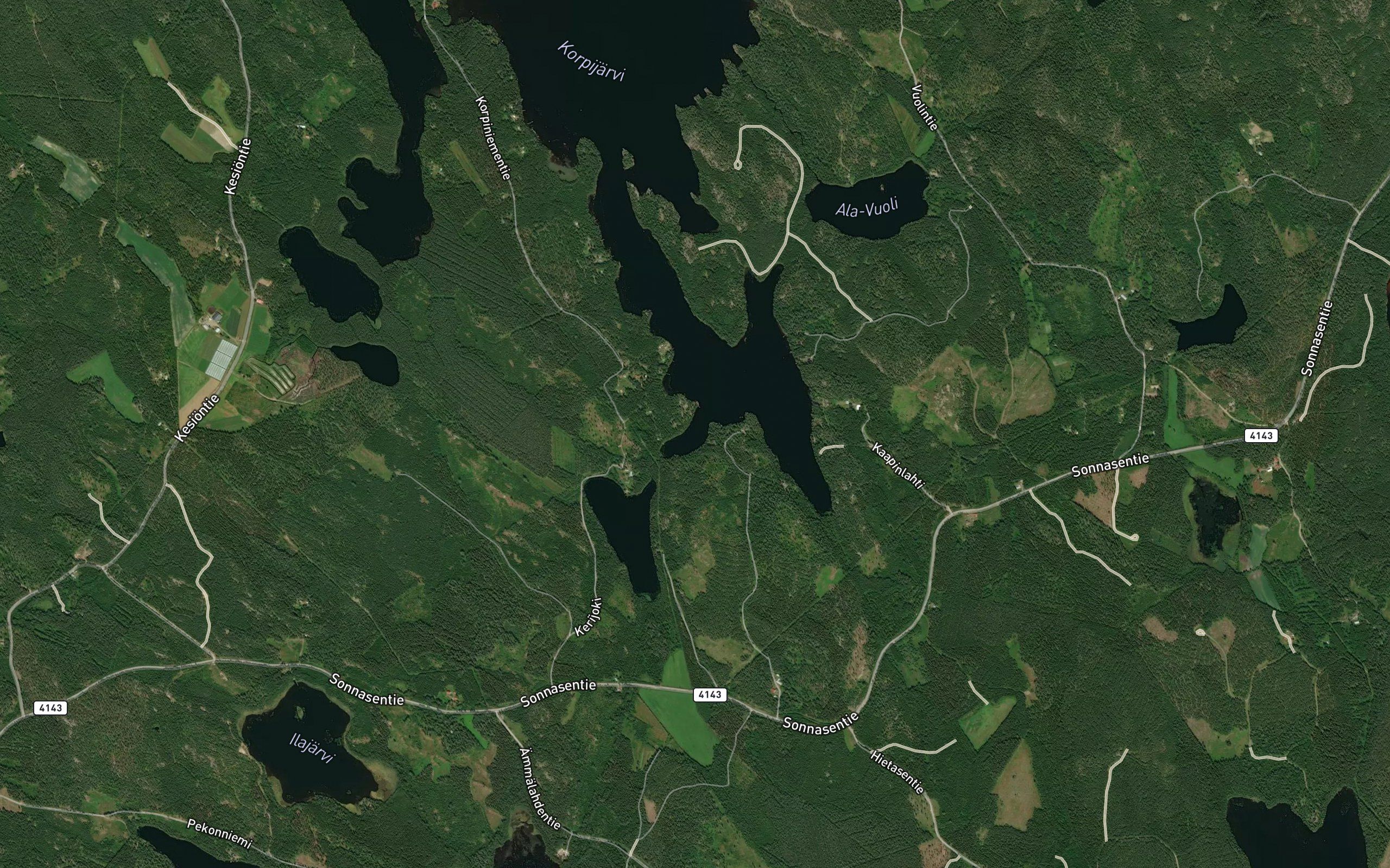 Liikkosenlahti