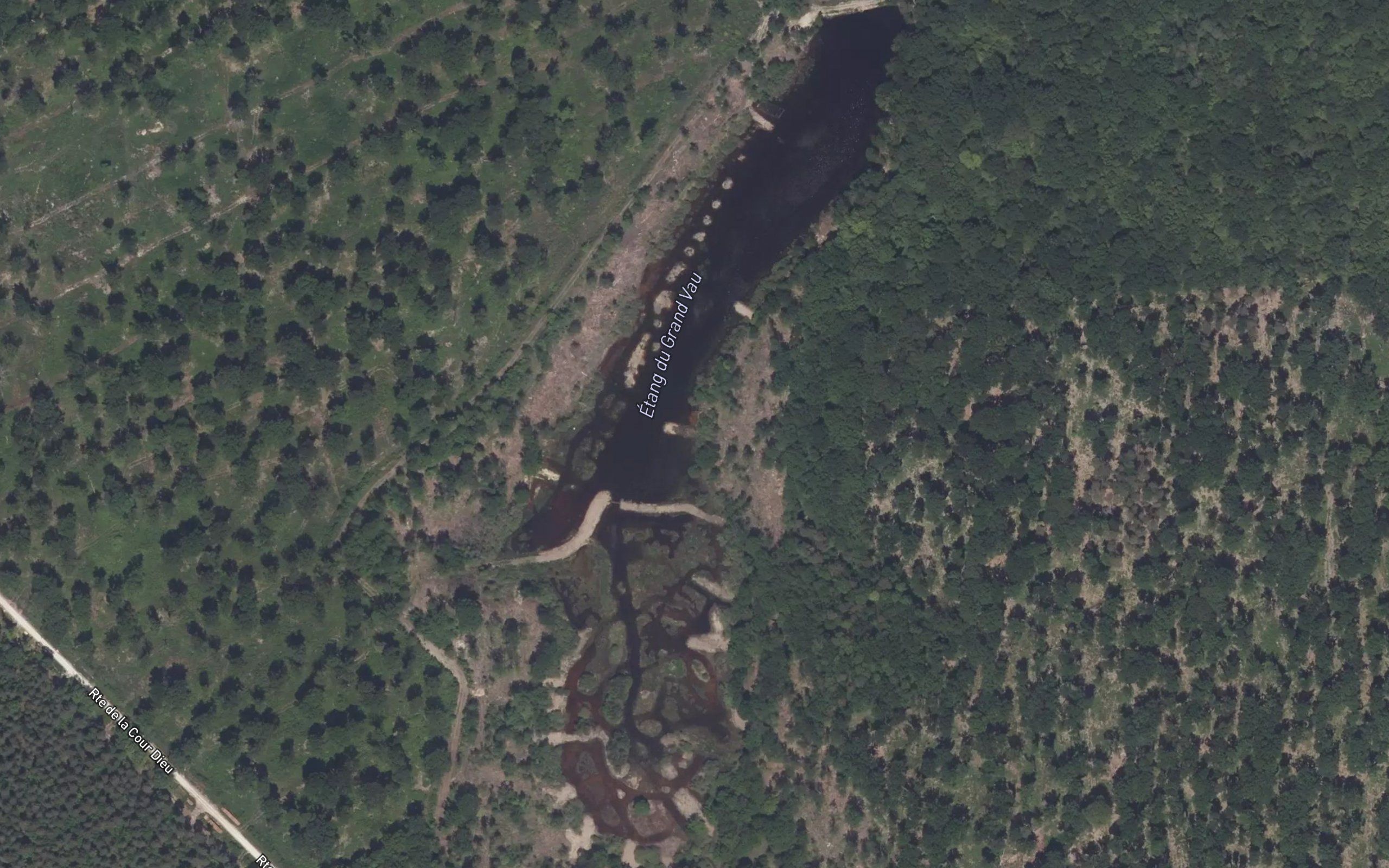 Etang du Grand Veau