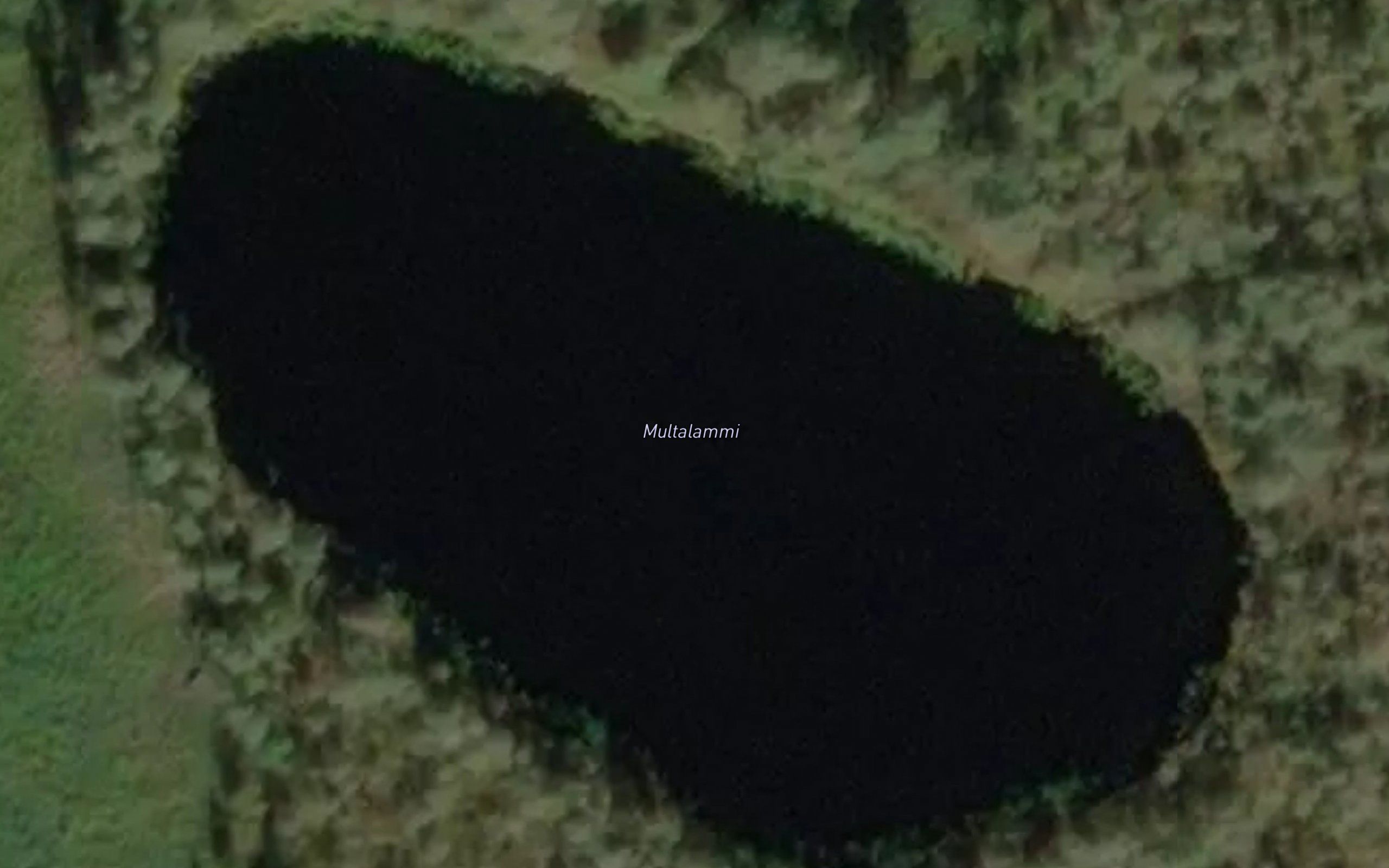 Multalammi