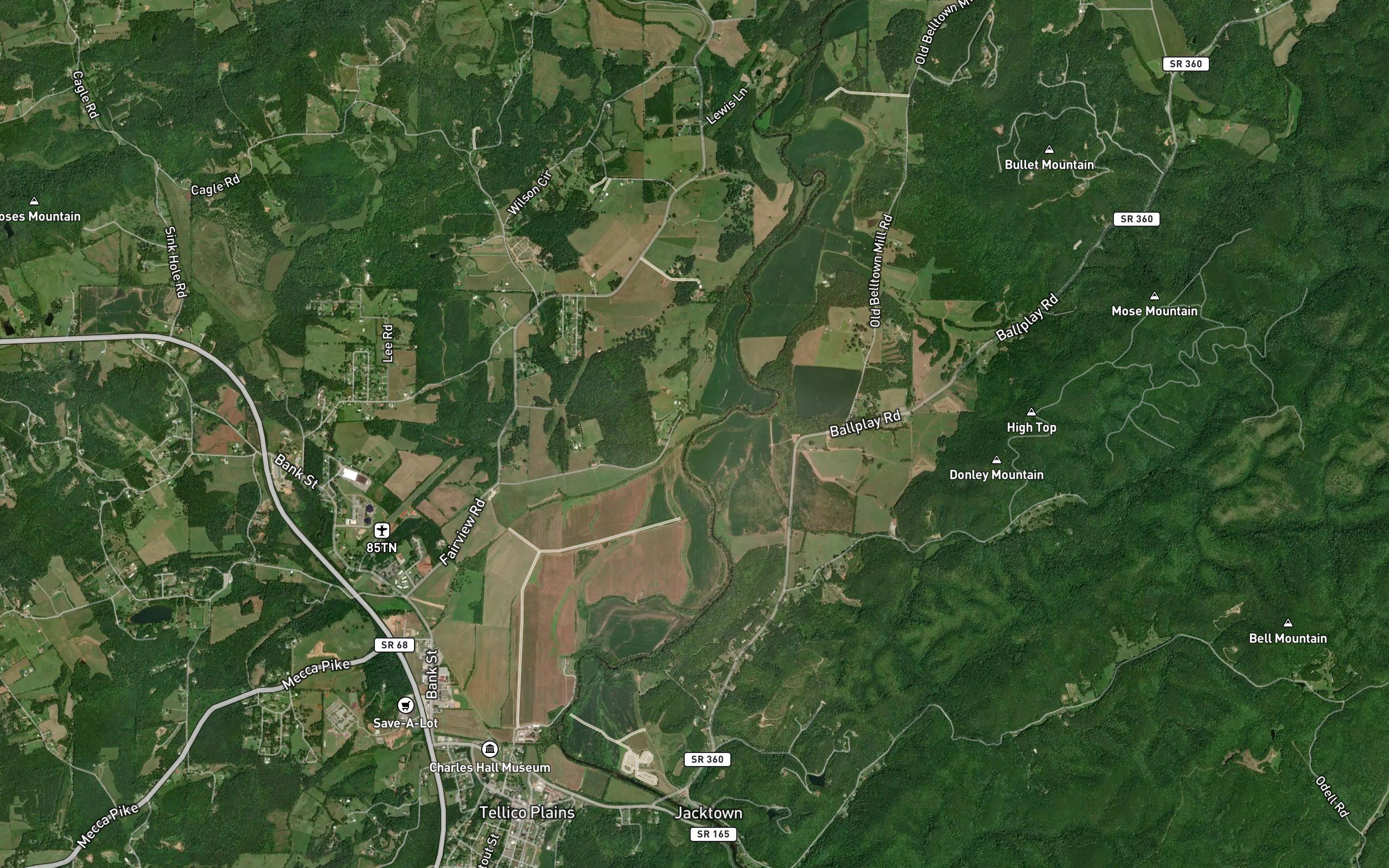 Morgan Branch