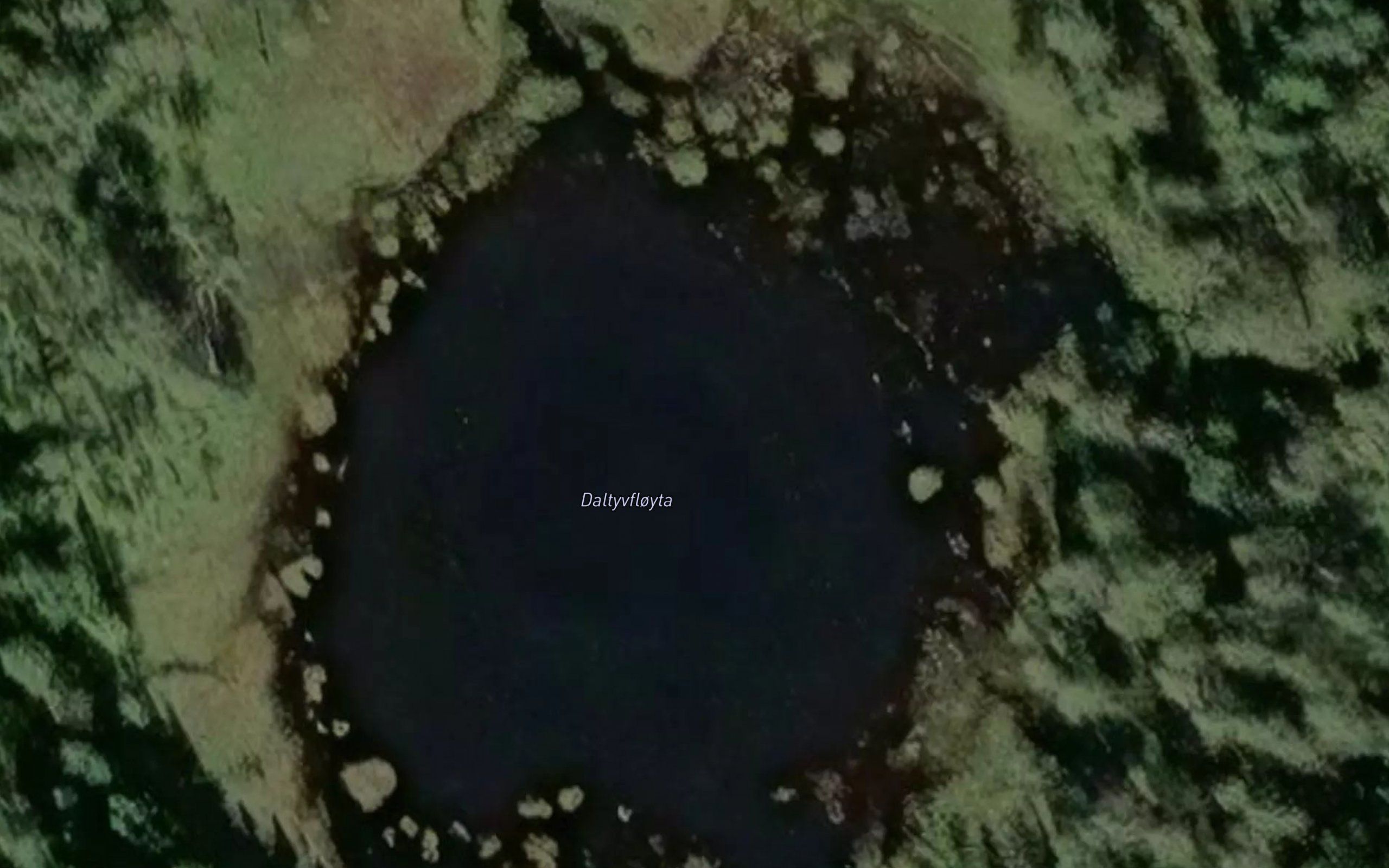 Daltjuvfloyta