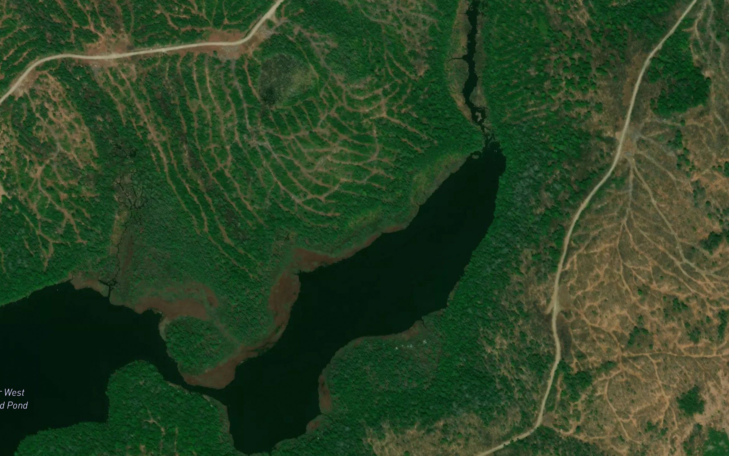 Lower West Ragged Pond
