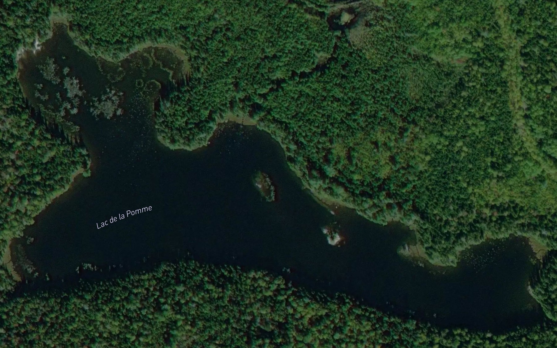 Satellite map of the Lac de la Pomme