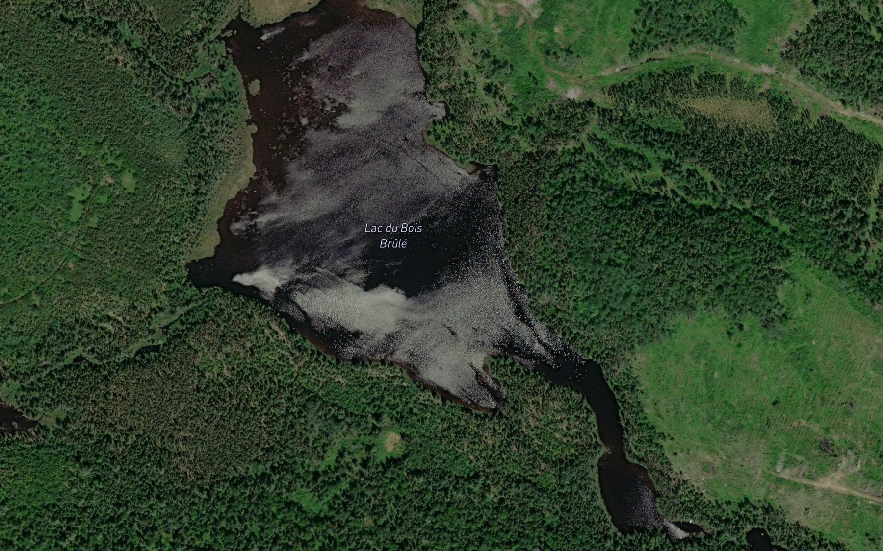 Satellite map of the Lac du Bois Brule