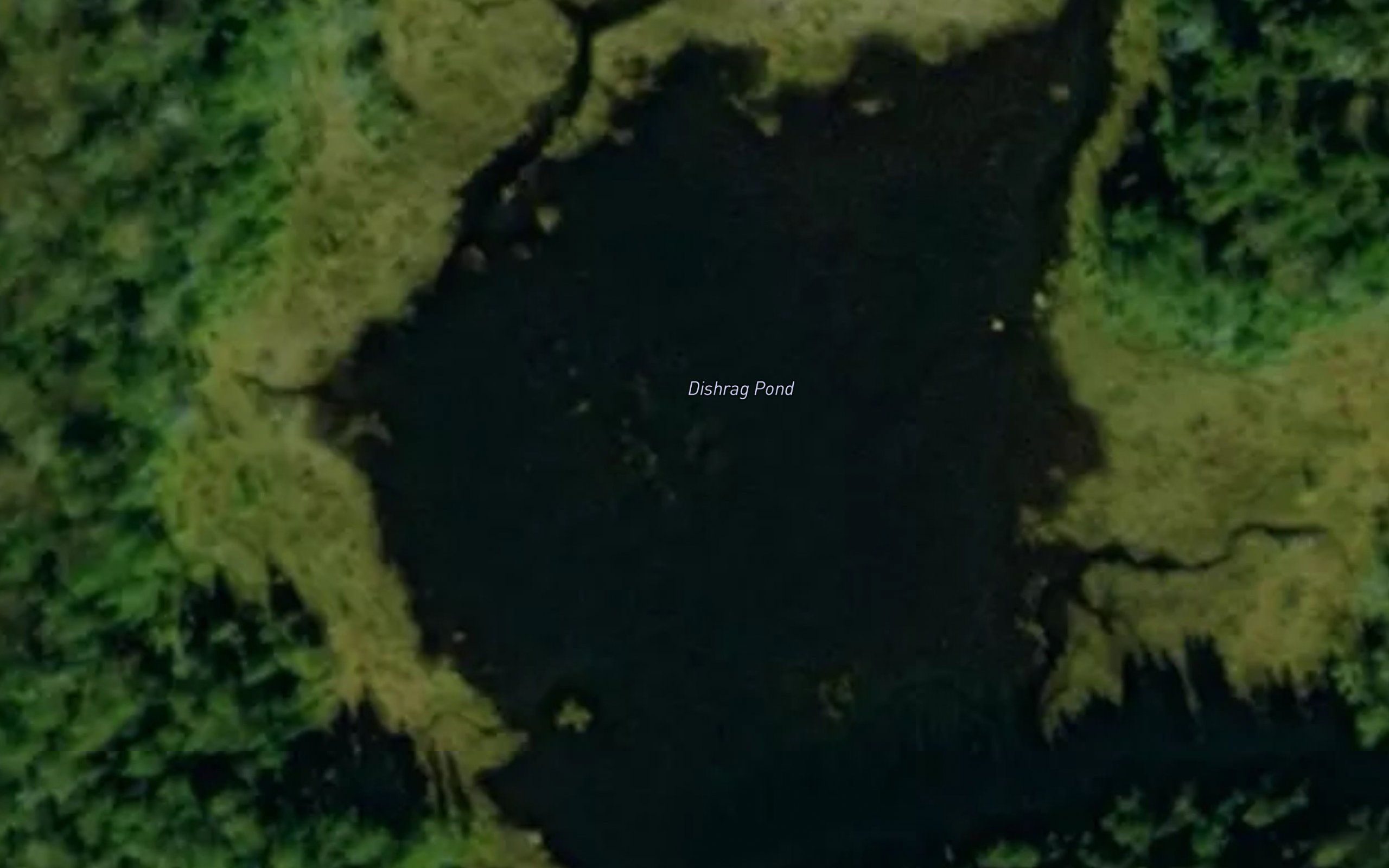 Dishrag Pond