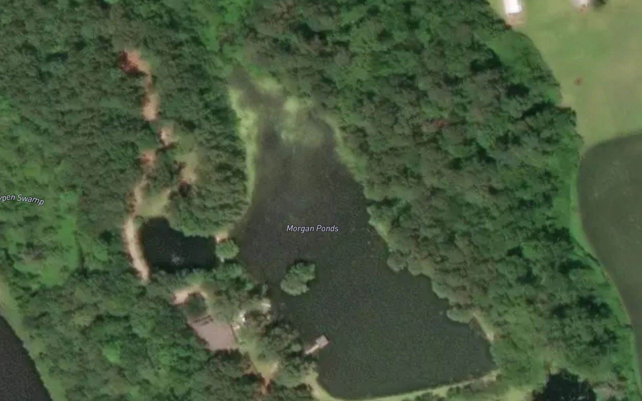 Morgan Ponds