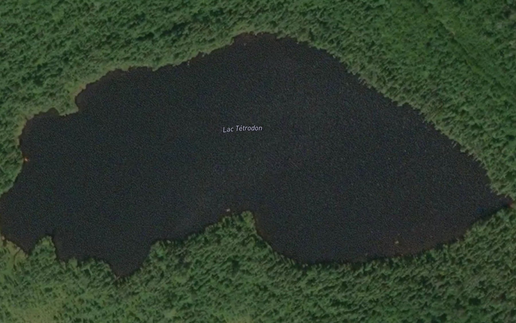Satellite map of the Lac Tetrodon