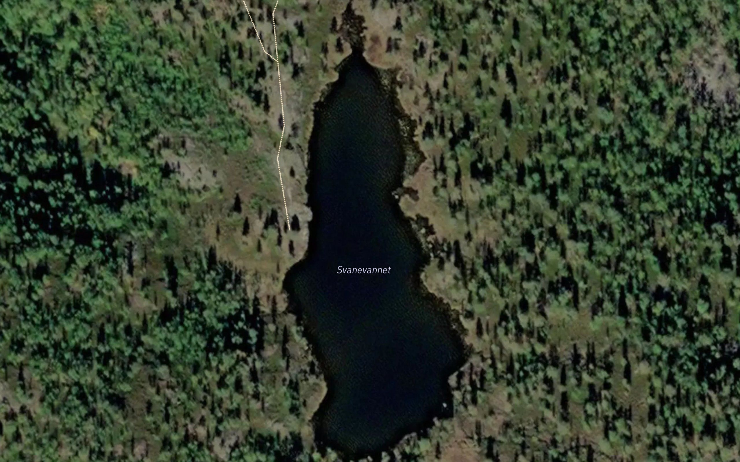 Svanevatnet