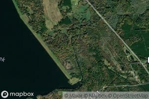 Murvaul Creek