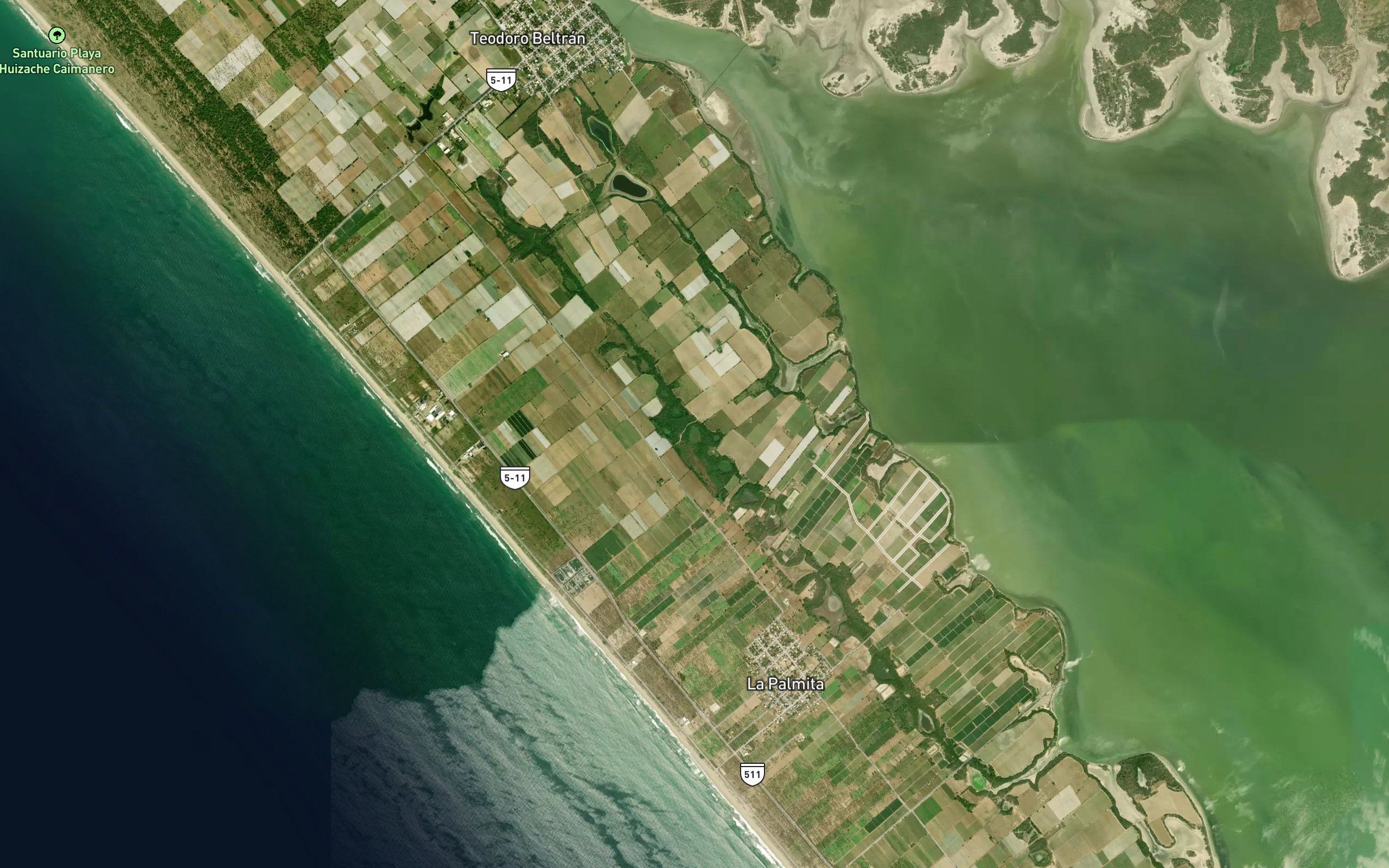 Laguna Mangles