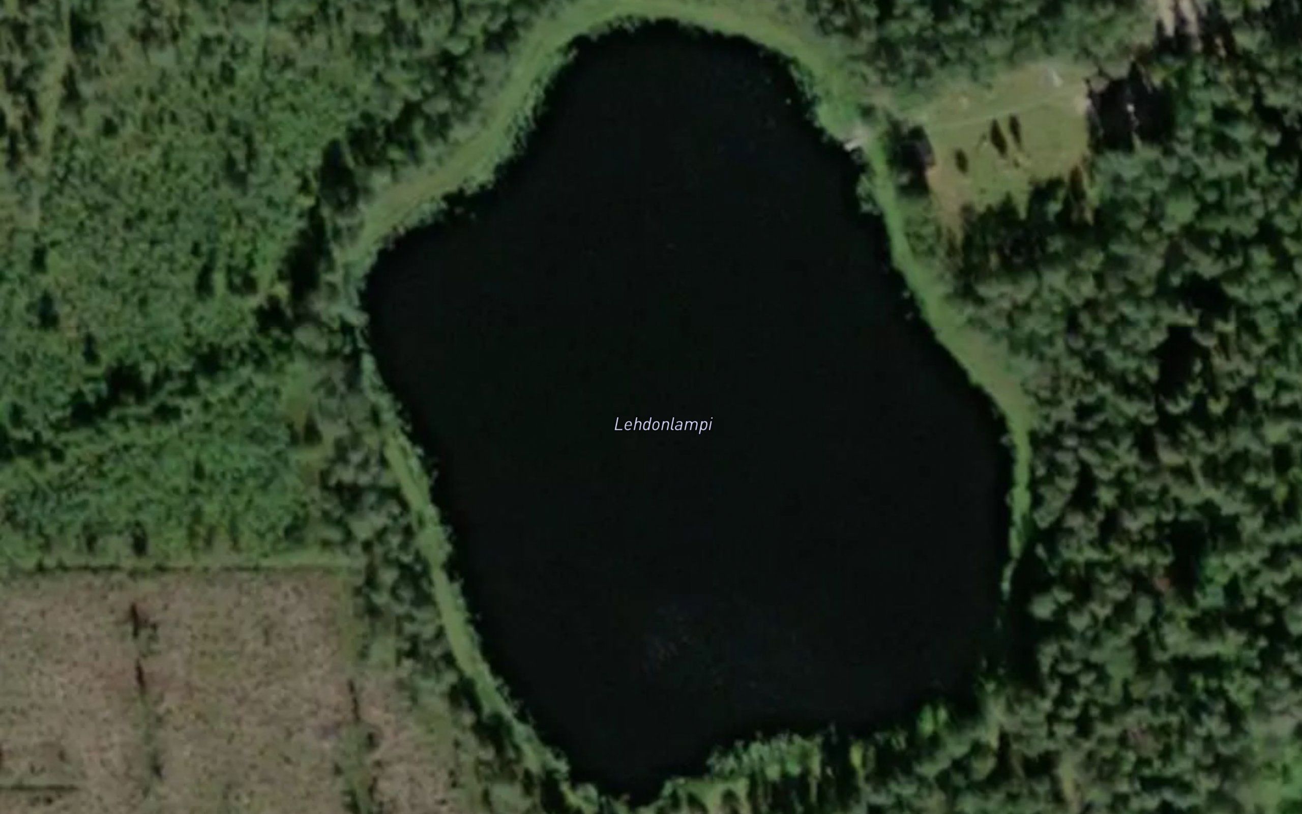 Lehdonlampi