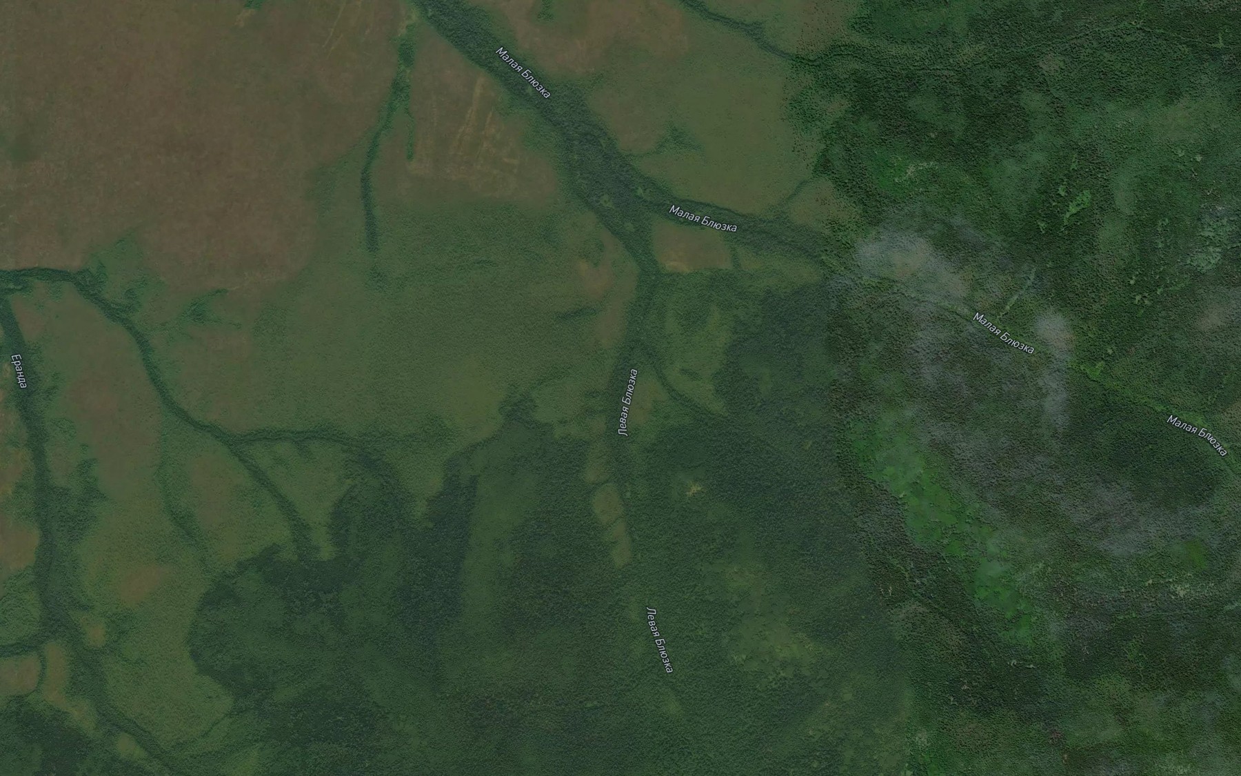 Satellite map of the Levaya Blyuzka