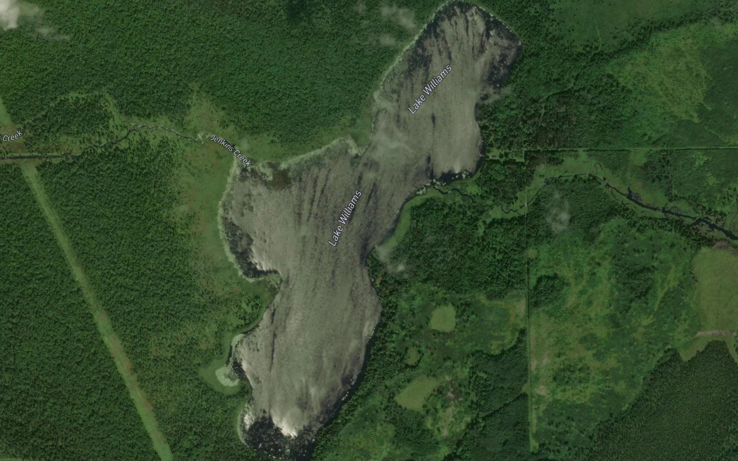 Lake Williams