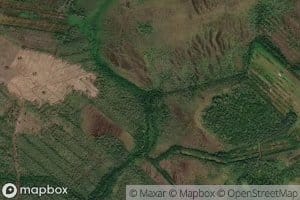 Isonkorvenoja