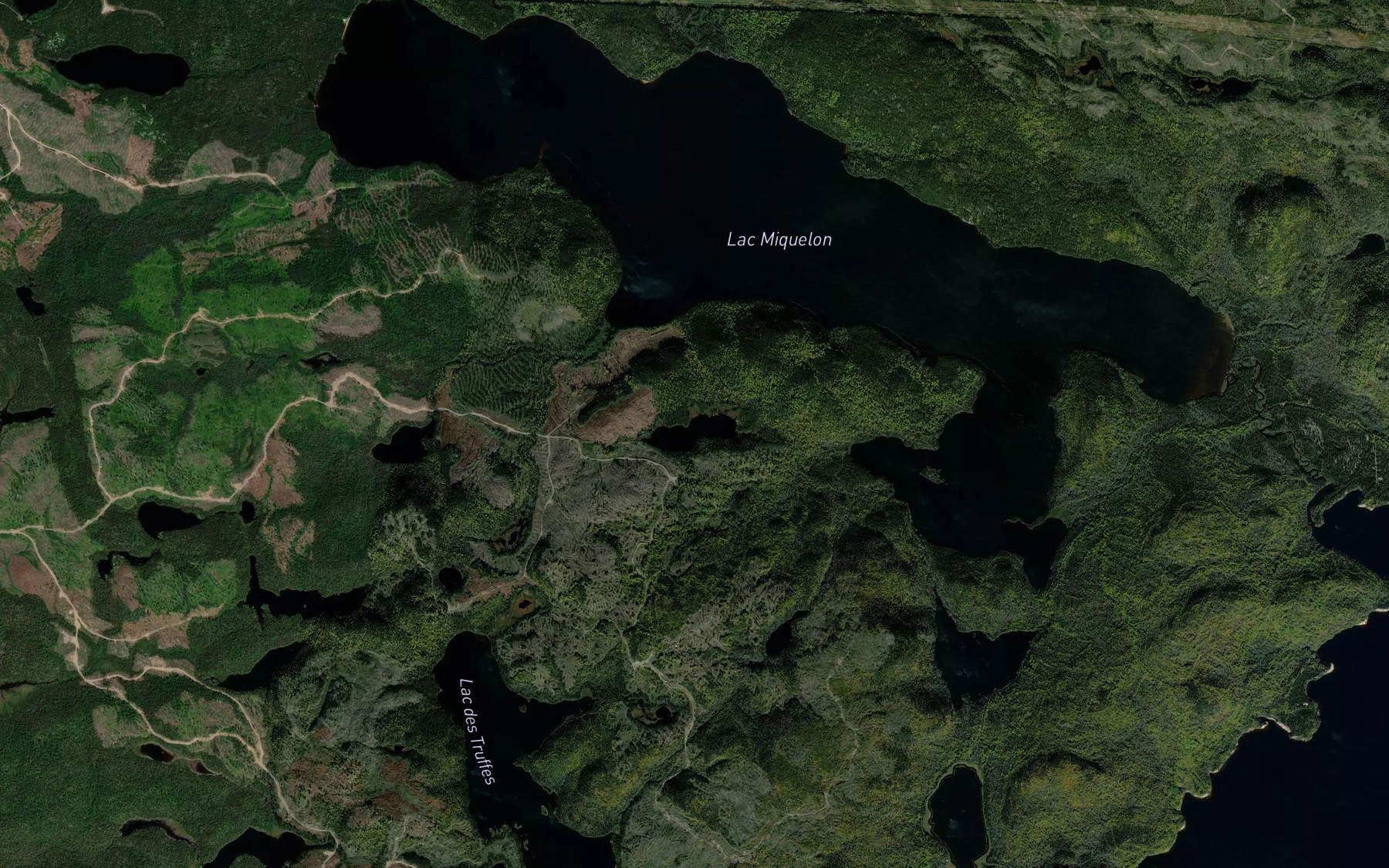 Satellite map of the Lac des Tamias