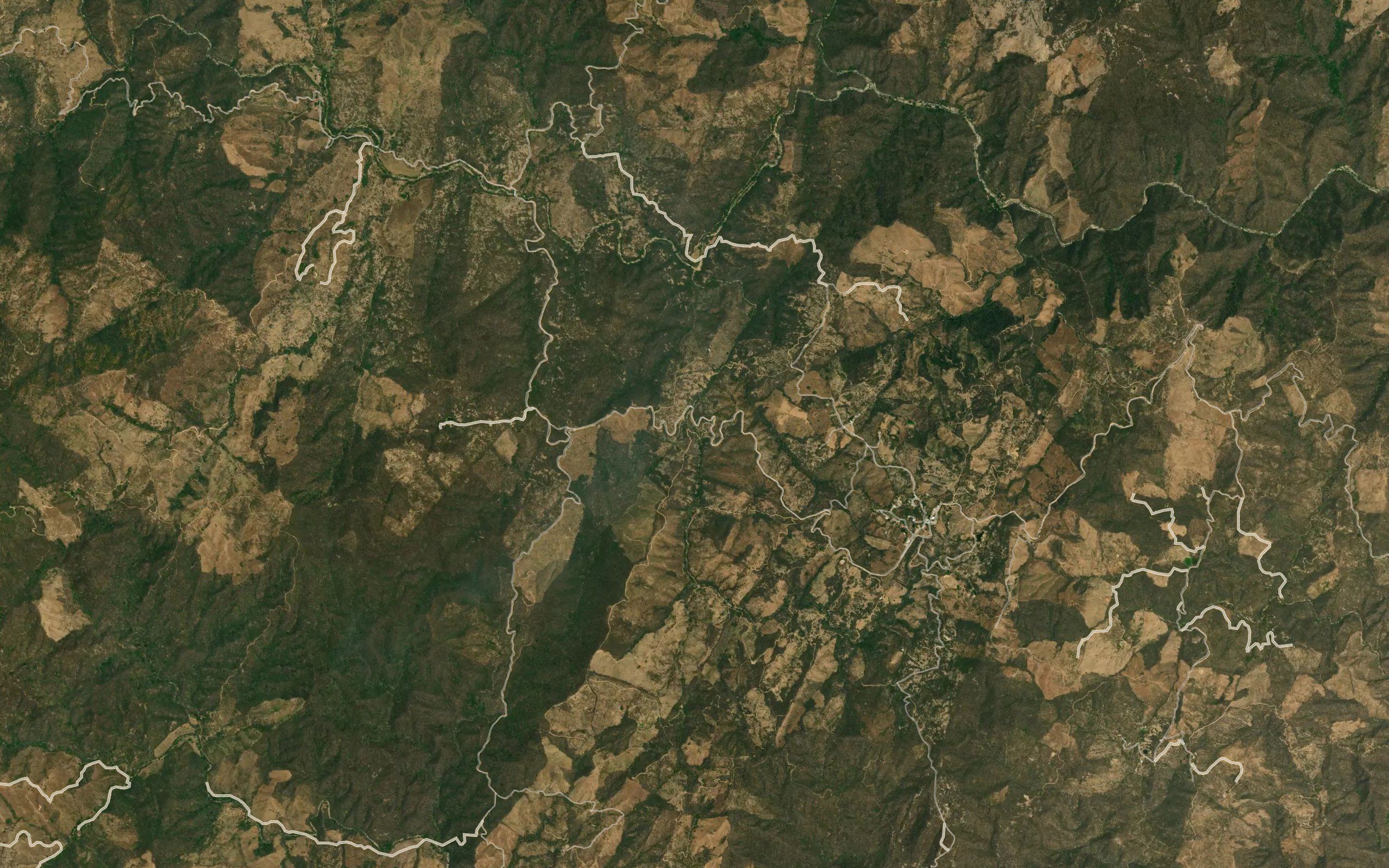 Barranca La Higuera