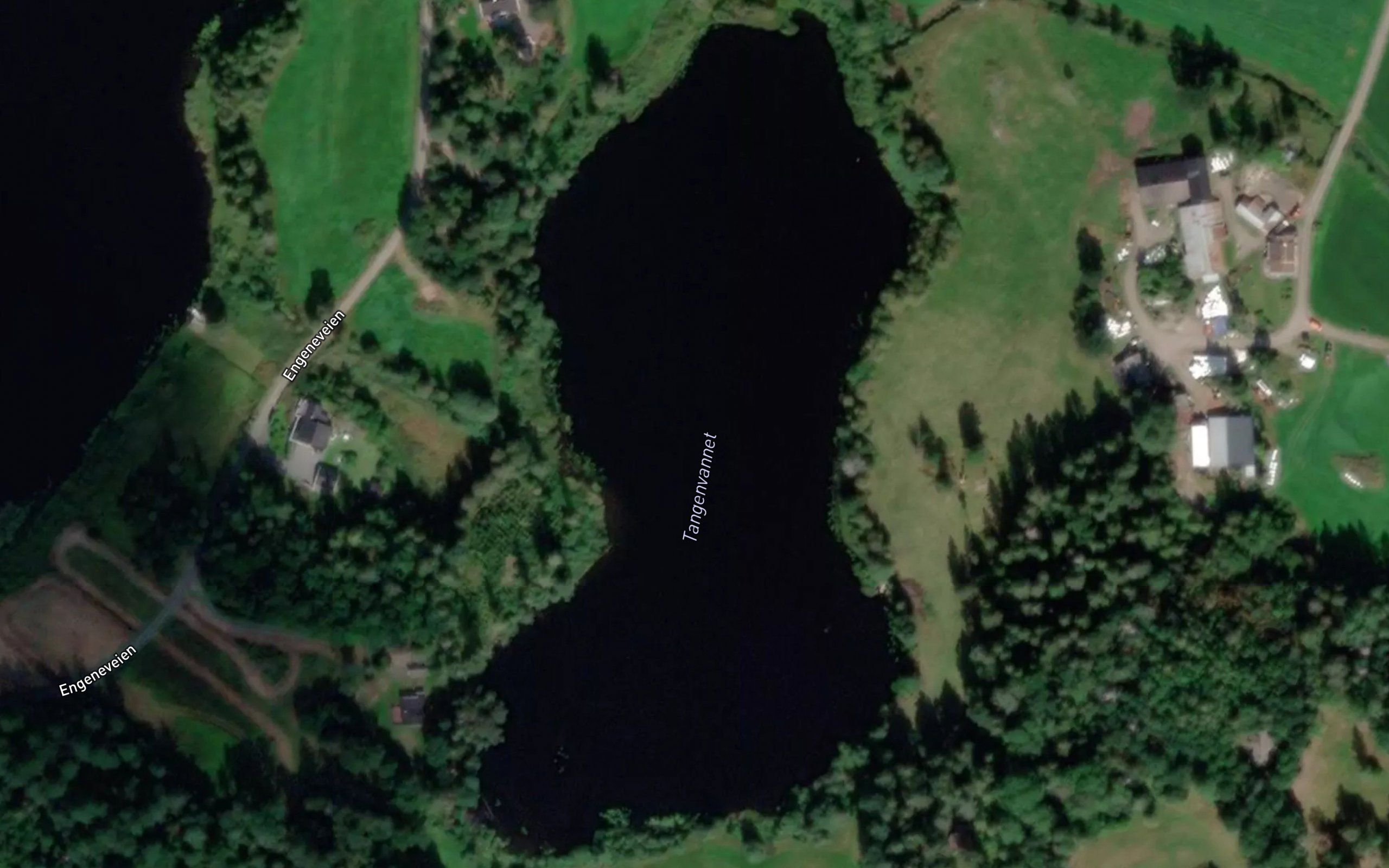 Tangenvannet