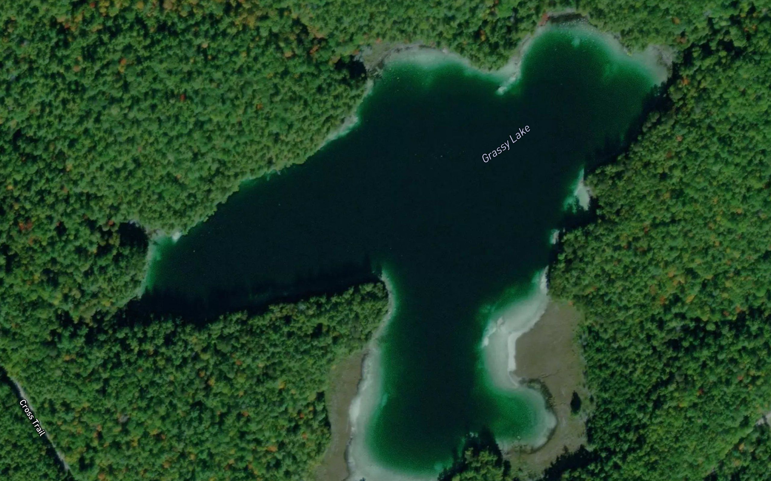 Grassy Lake