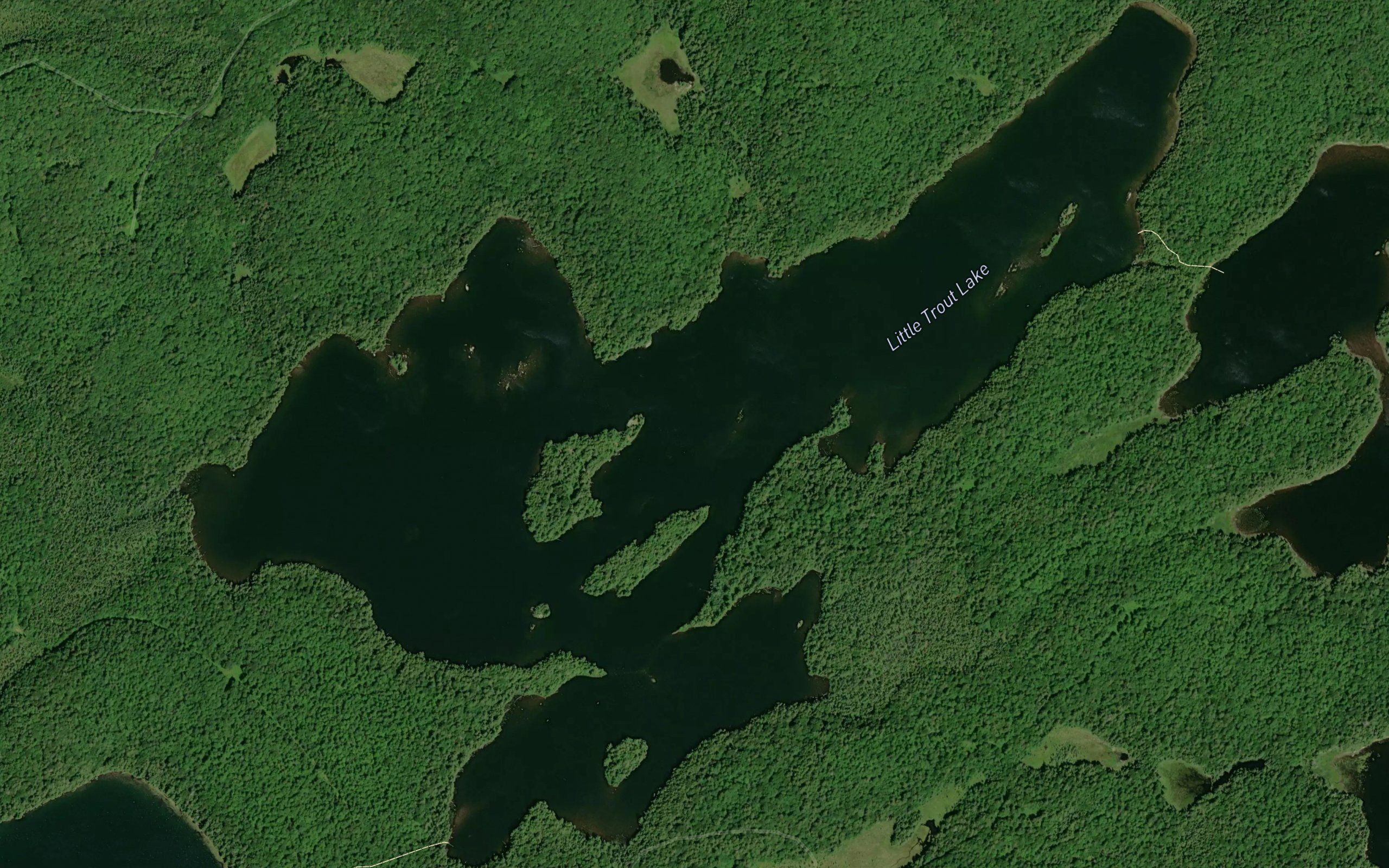 Little Trout Lake
